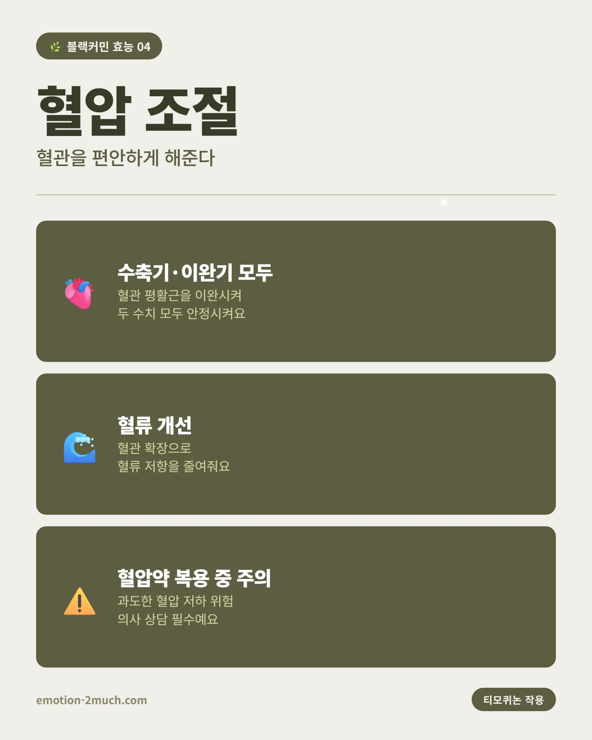 블랙커민 혈압 조절 효능 인포그래픽