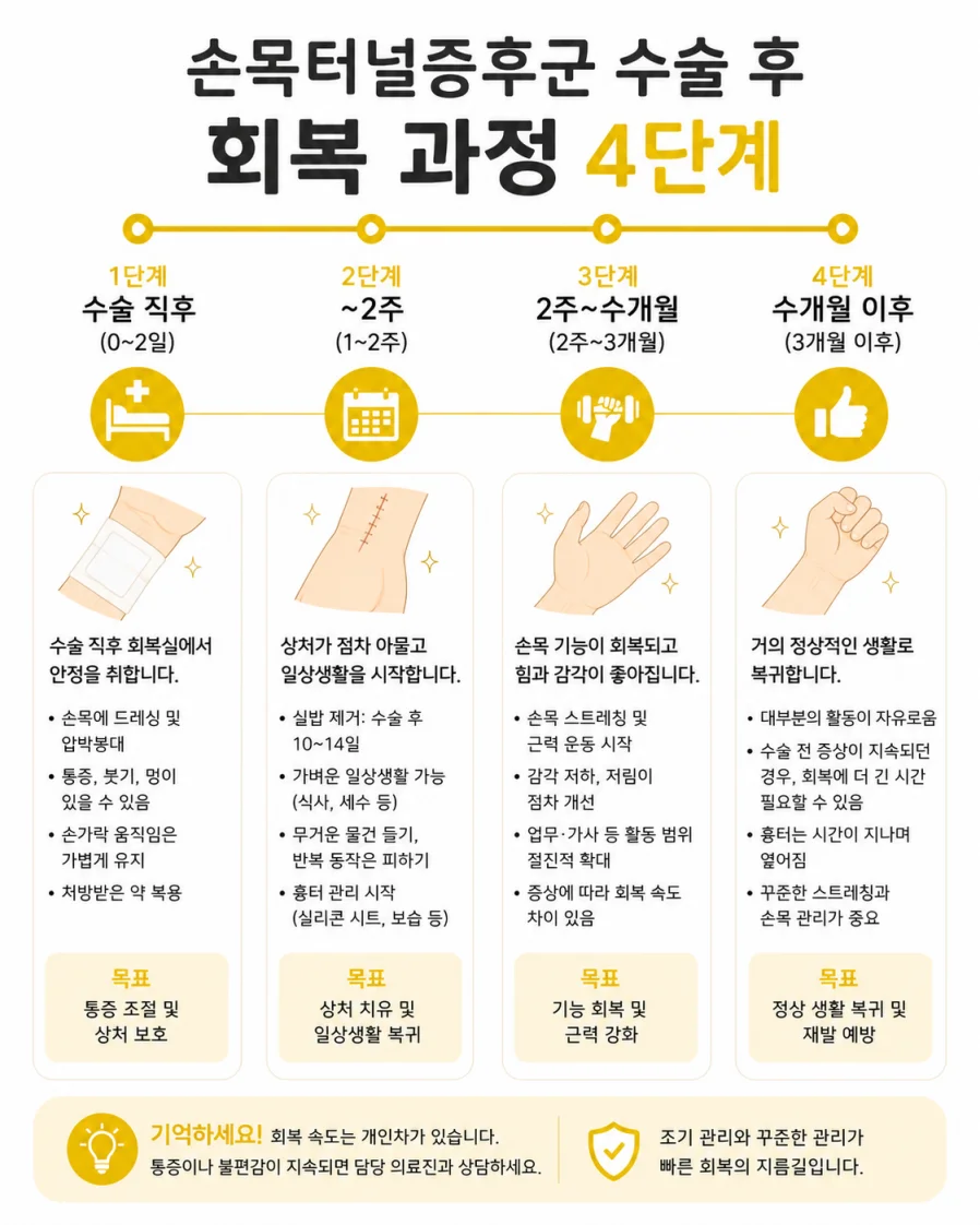 손목터널증후군 수술 회복 일정 타임라인 인포그래픽
