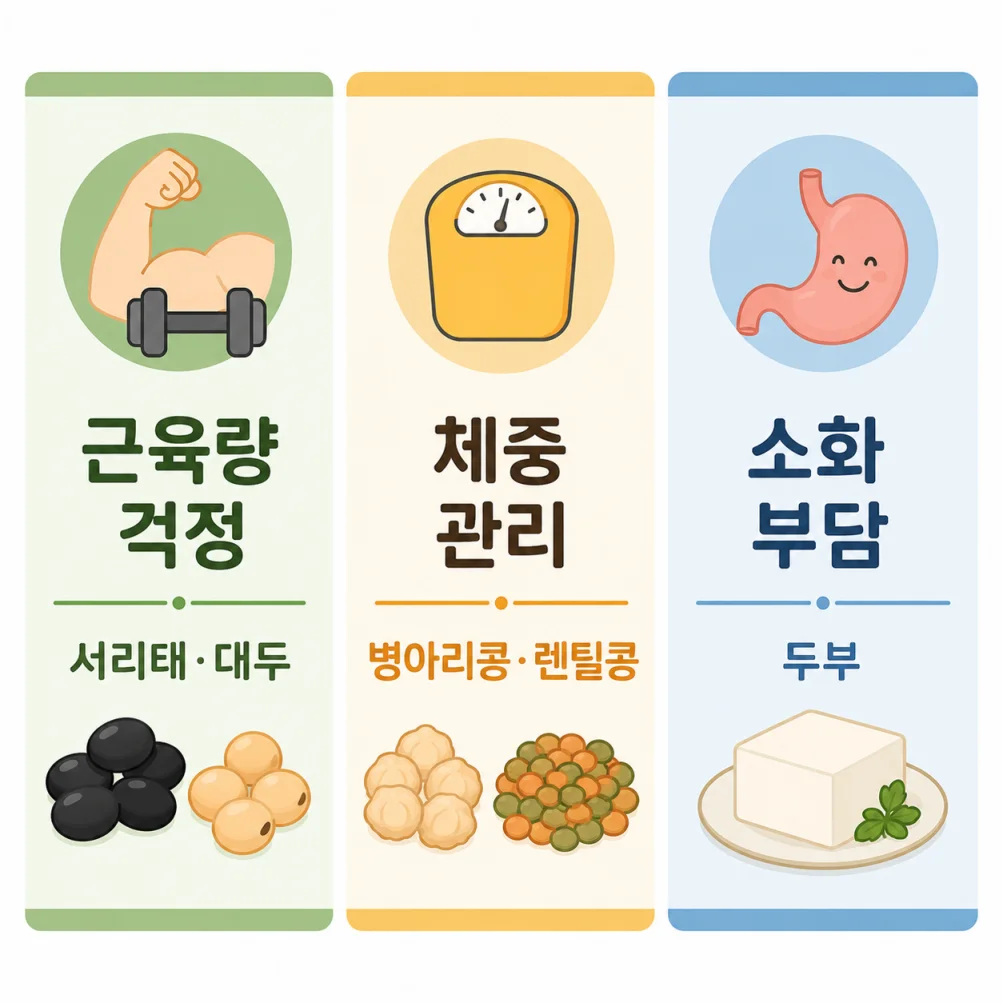 목적별 콩 선택법 3가지 비교 인포그래픽