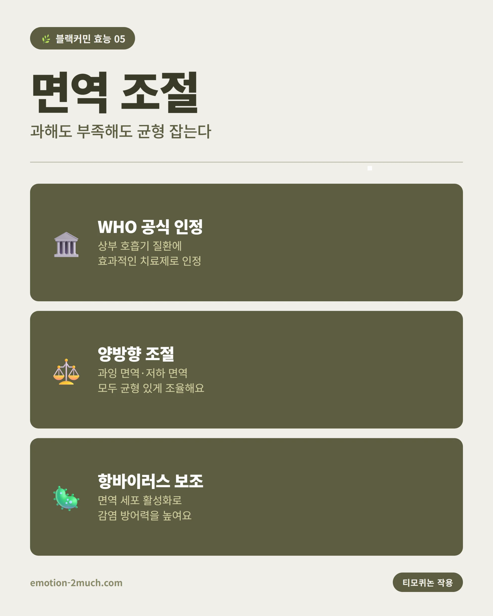 블랙커민 면역 조절 효능 인포그래픽