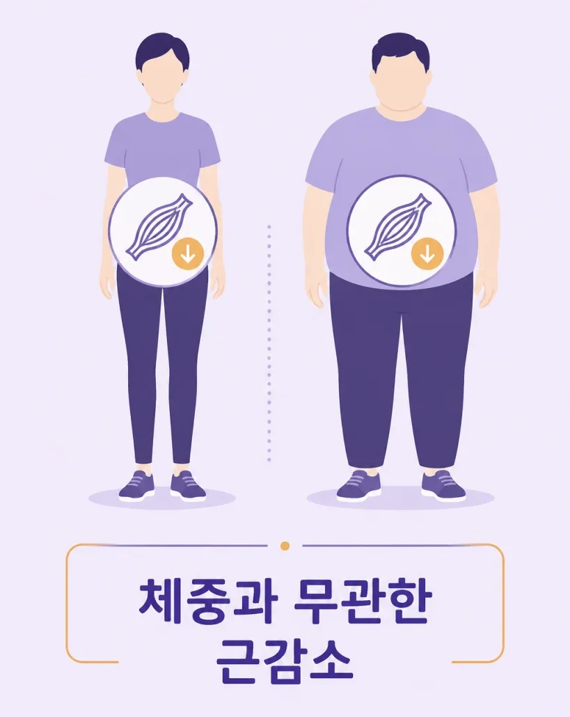 체중과 무관하게 나타날 수 있는 근감소성 비만 개념을 표현한 일러스트