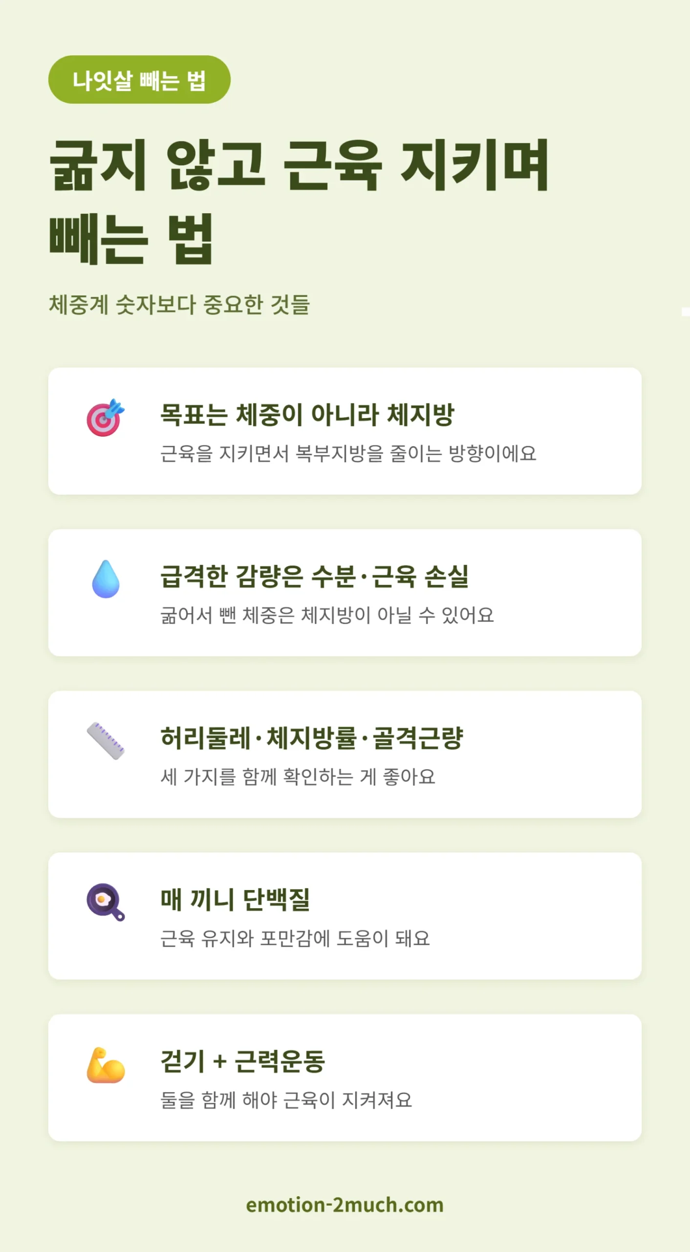 굶지 않고 나잇살 빼는 법 핵심 요약 인포그래픽