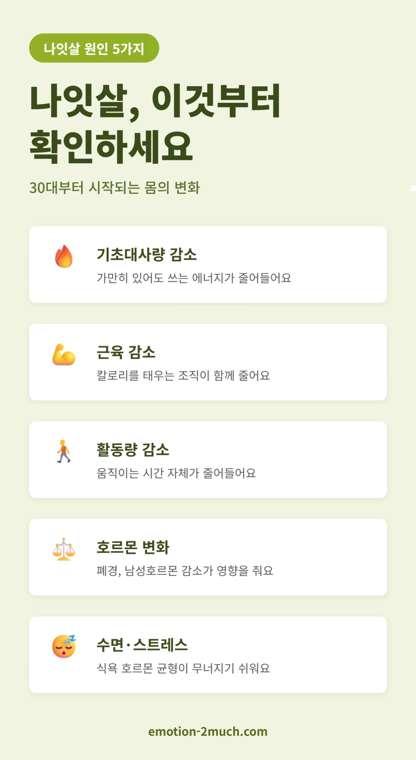 나잇살 원인 5가지 핵심 요약 인포그래픽