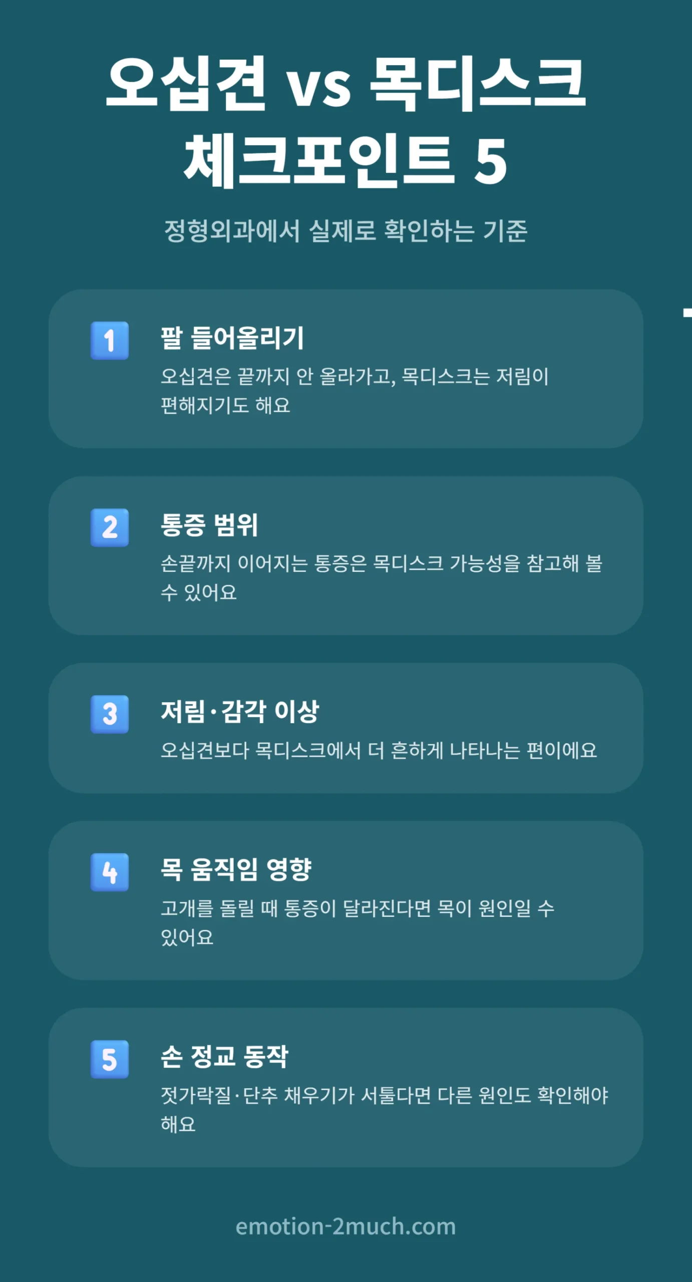 오십견과 목디스크 핵심 체크포인트 요약 인포그래픽
