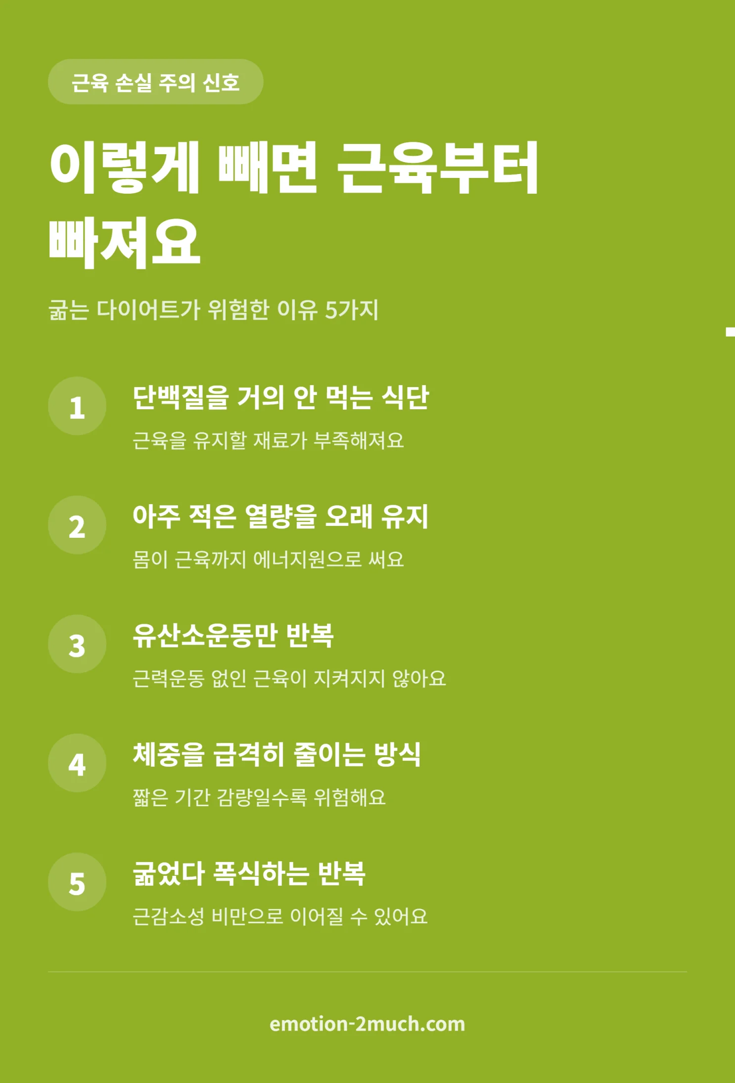근육 손실 위험을 높이는 식습관 5가지 인포그래픽