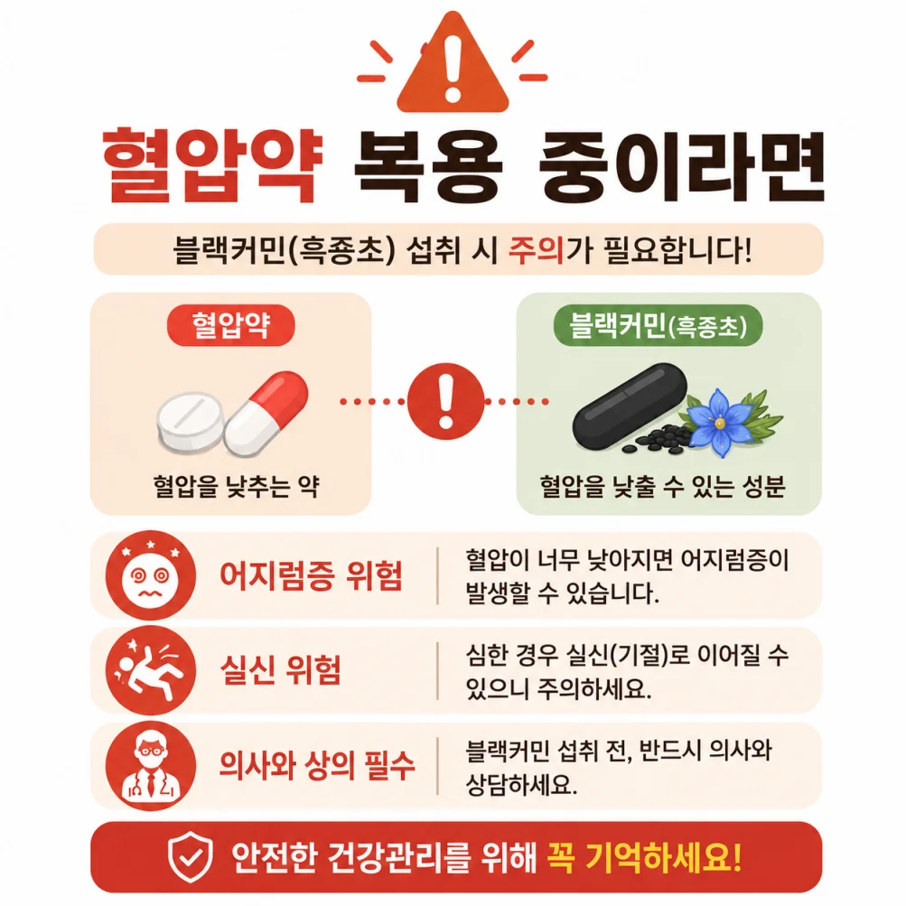 혈압약 복용 중 블랙커민 병용 주의 인포그래픽