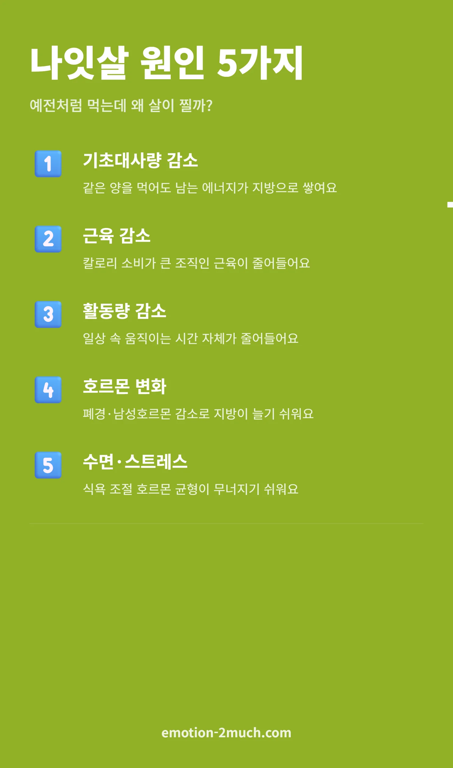 나잇살 원인 5가지 리스트 인포그래픽