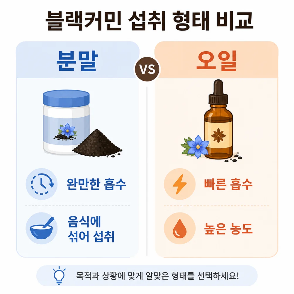 블랙커민 분말과 오일 형태 비교 인포그래픽