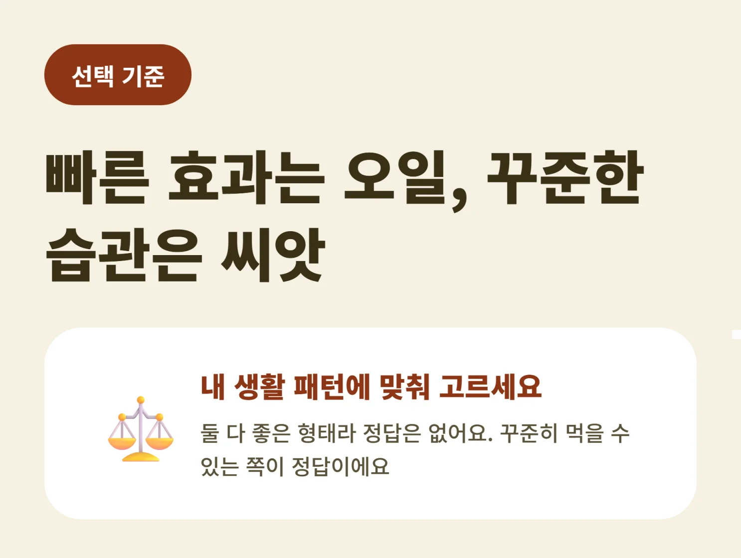 블랙커민 오일 씨앗 차이에 따른 선택 기준 정리