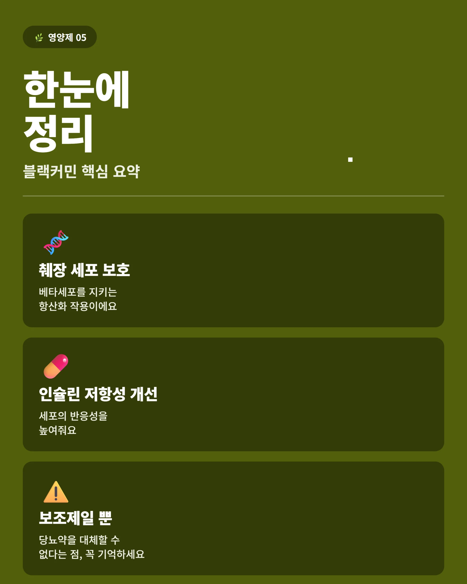 블랙커민 섭취 정리 마무리 인포그래픽