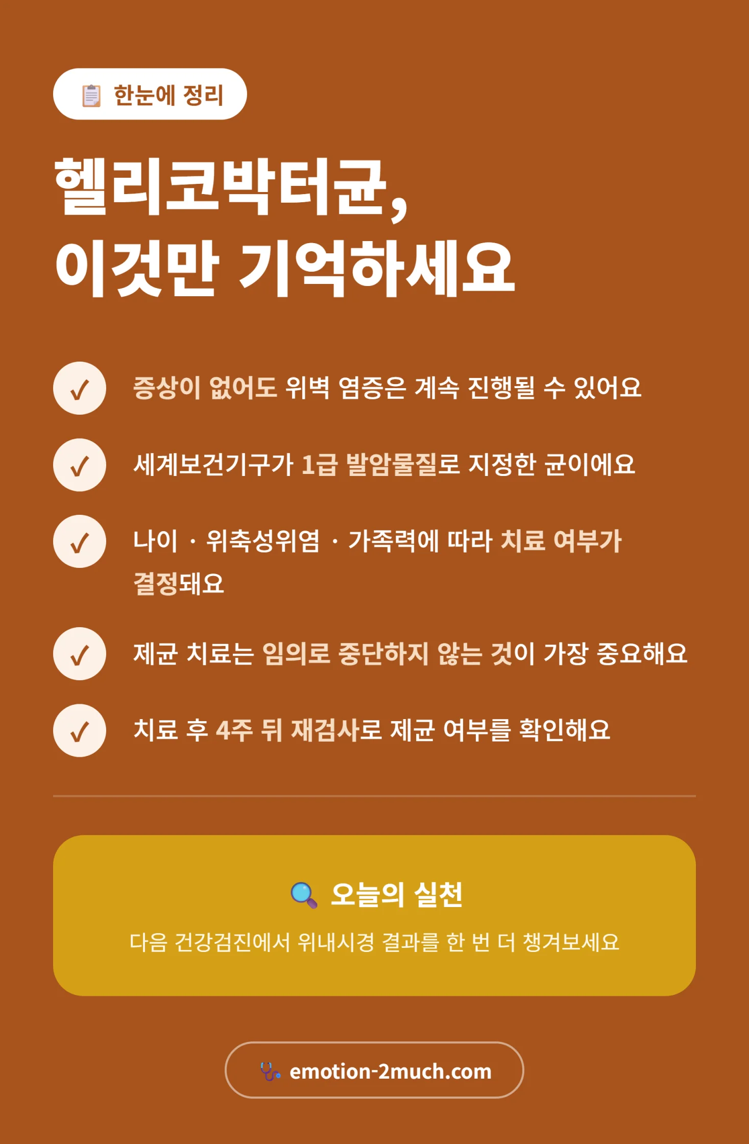 헬리코박터균 증상부터 치료까지 총정리 인포그래픽