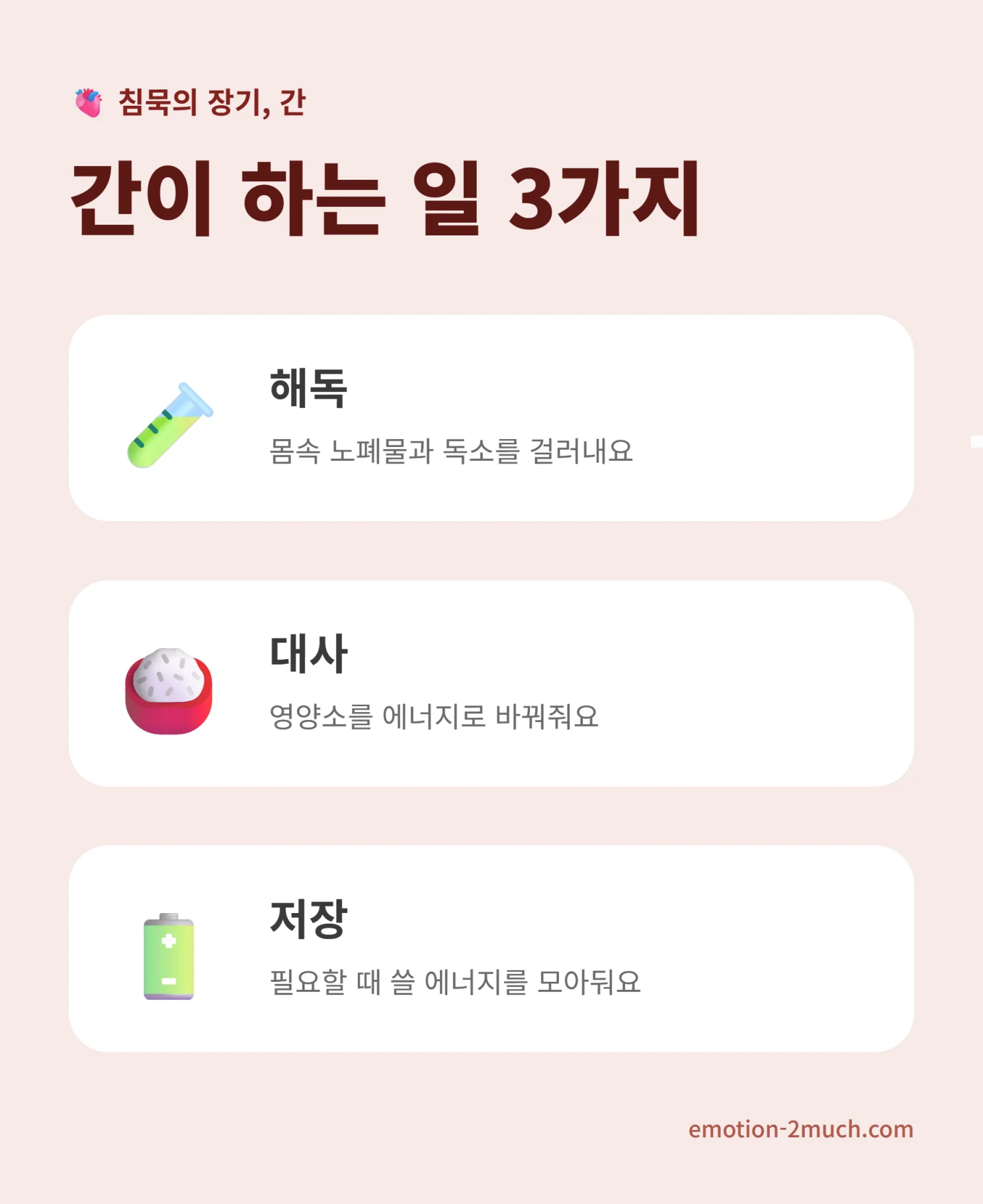 간이 하는 해독 저장 대사 세 가지 기능