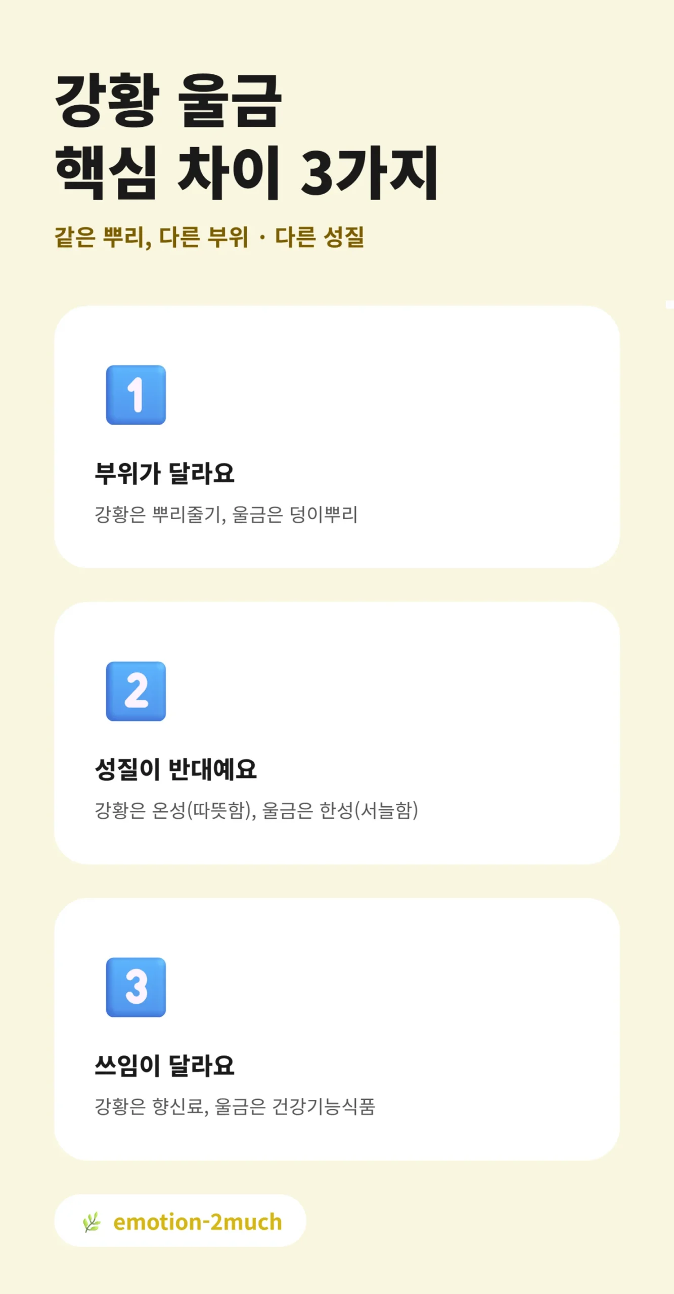 강황과 울금 핵심 차이 3가지 요약 인포그래픽