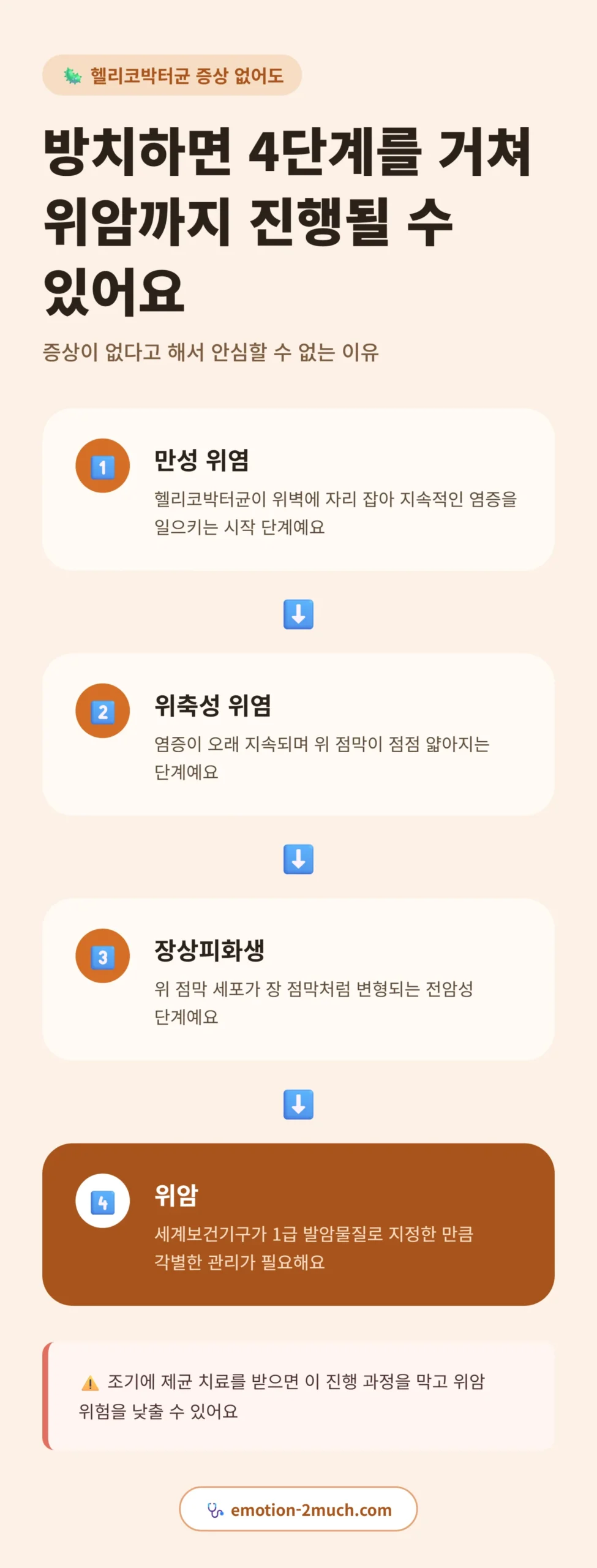 만성위염에서 위암까지 진행되는 4단계 인포그래픽