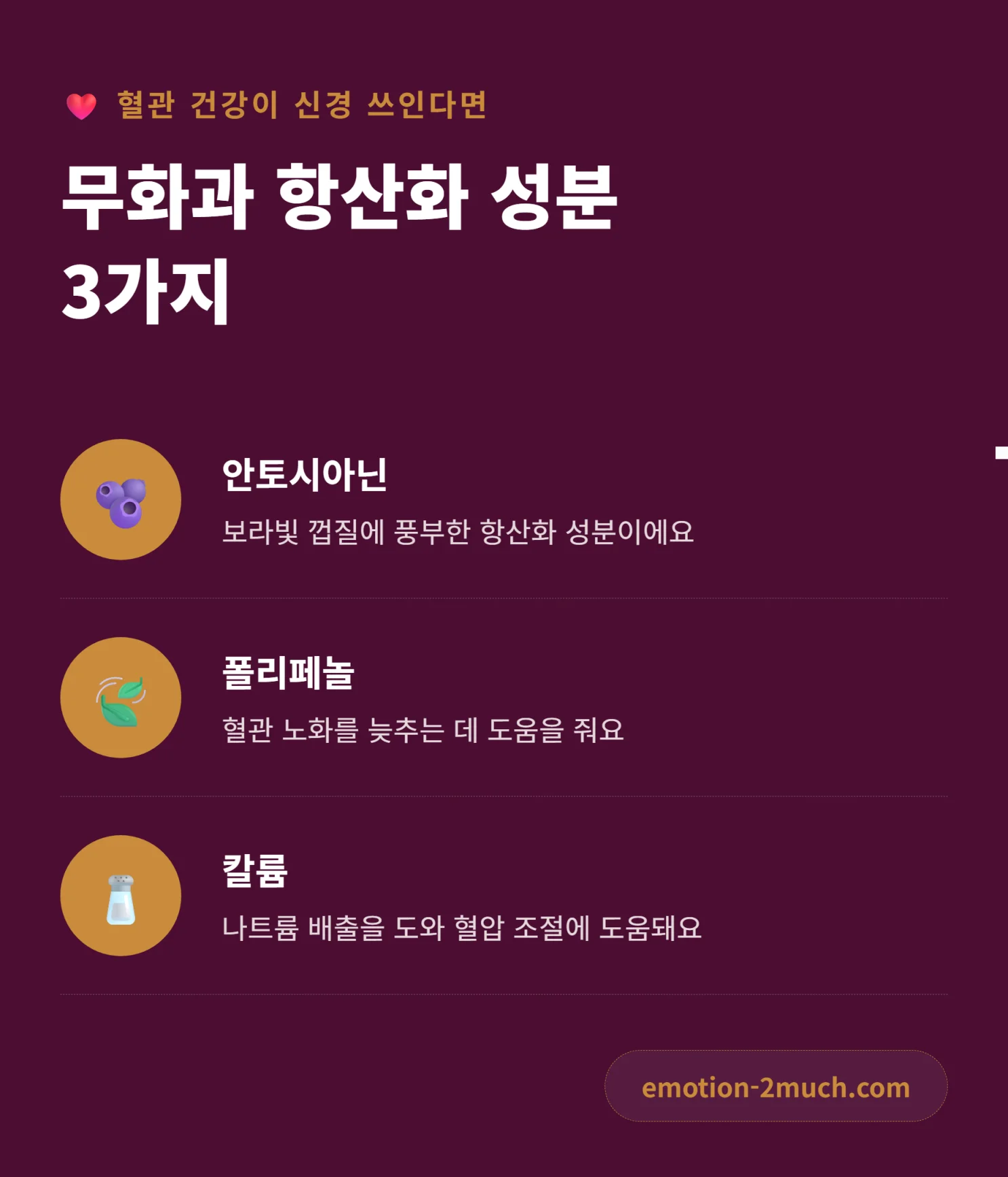 무화과 항산화 성분과 혈관 건강을 정리한 인포그래픽