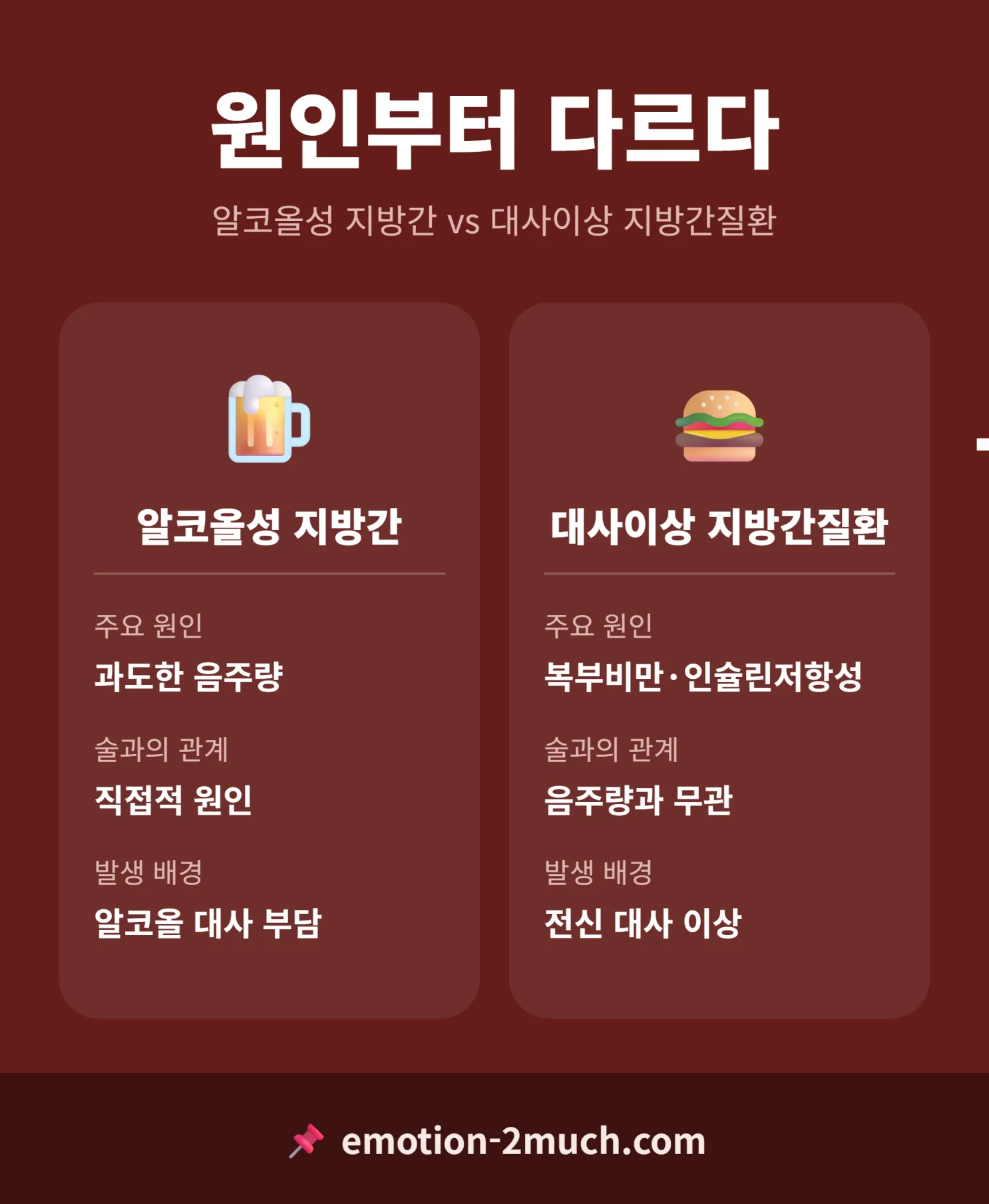 알코올성 지방간과 대사이상 지방간질환 원인 비교 인포그래픽