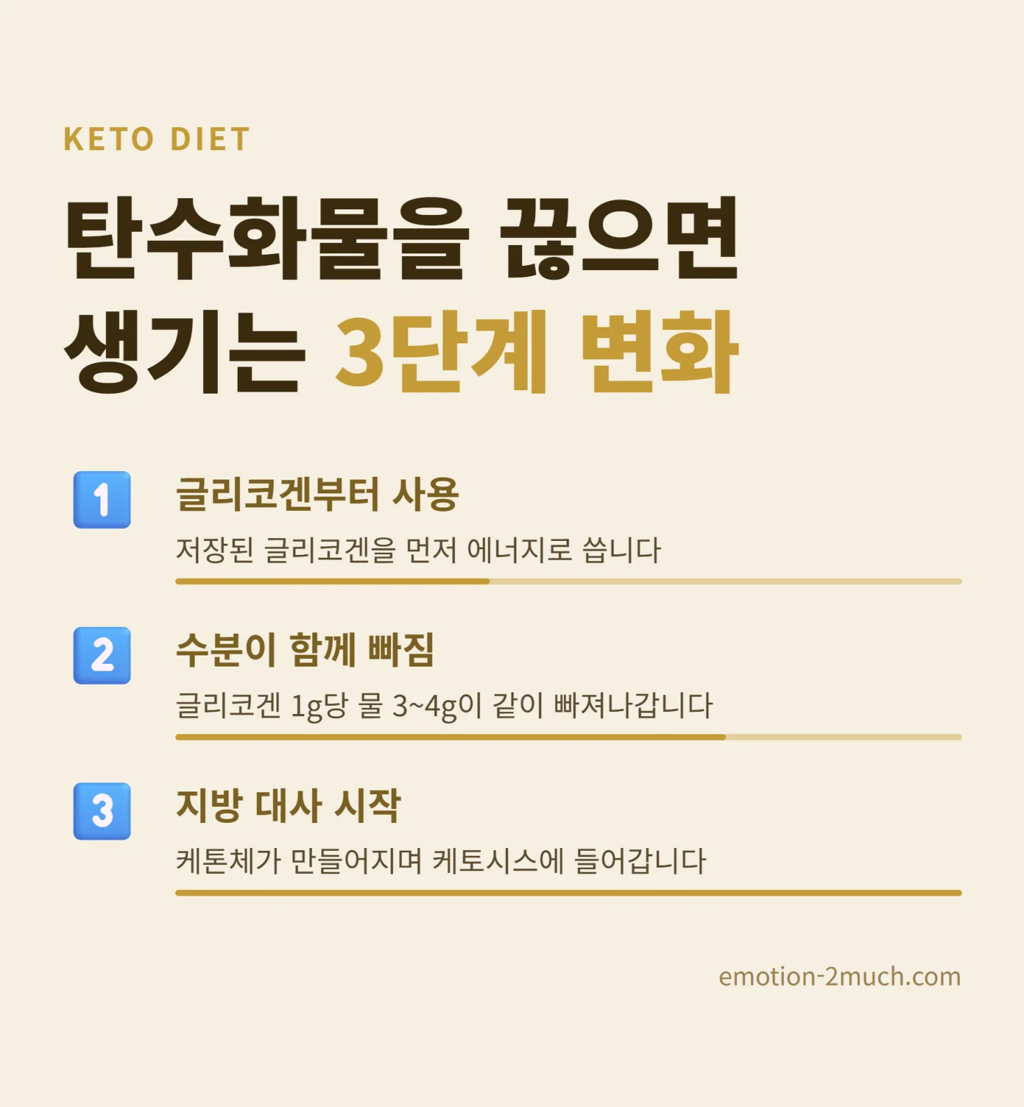 케토시스 진입 3단계를 정리한 인포그래픽