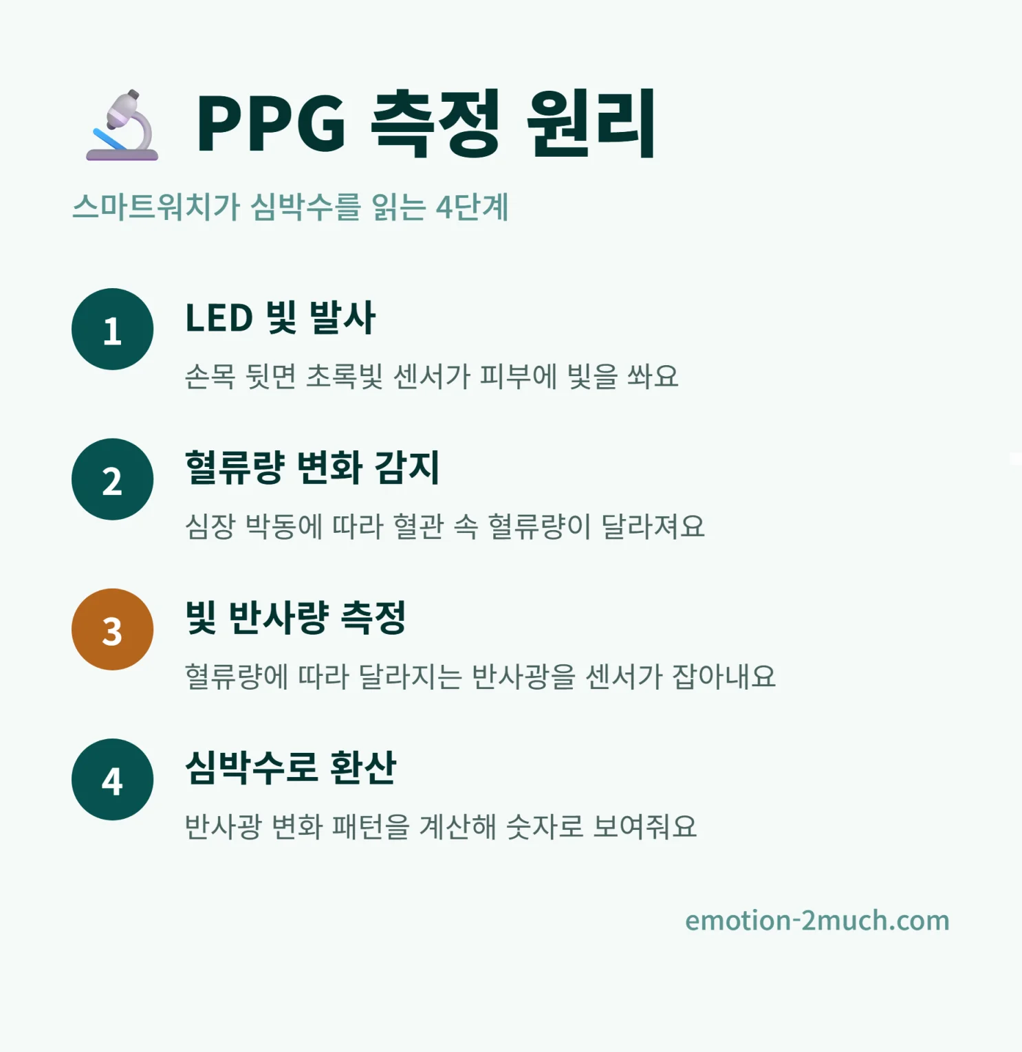 PPG 방식 심박수 측정 단계 인포그래픽