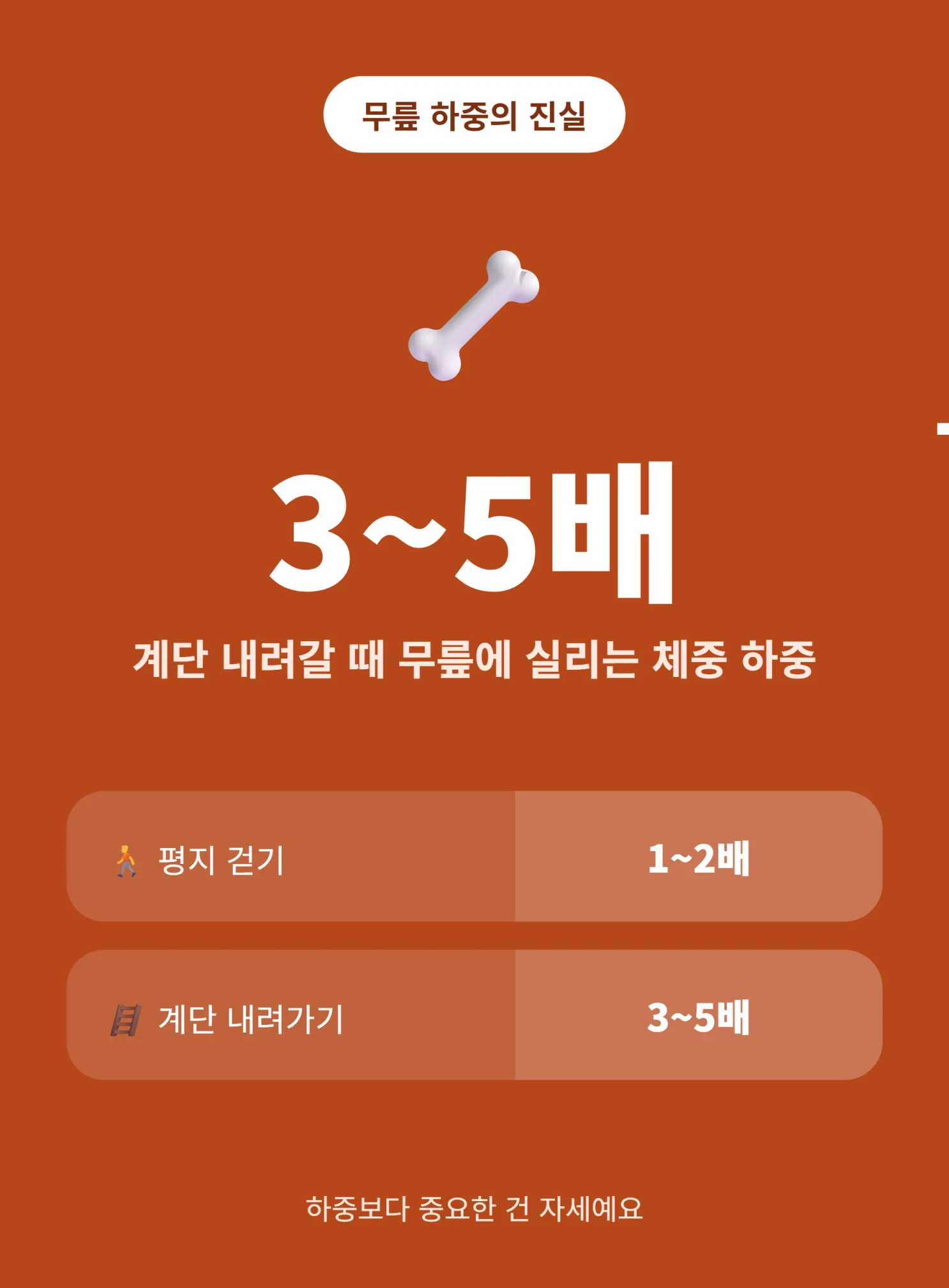 무릎 하중 체중 3~5배 인포그래픽