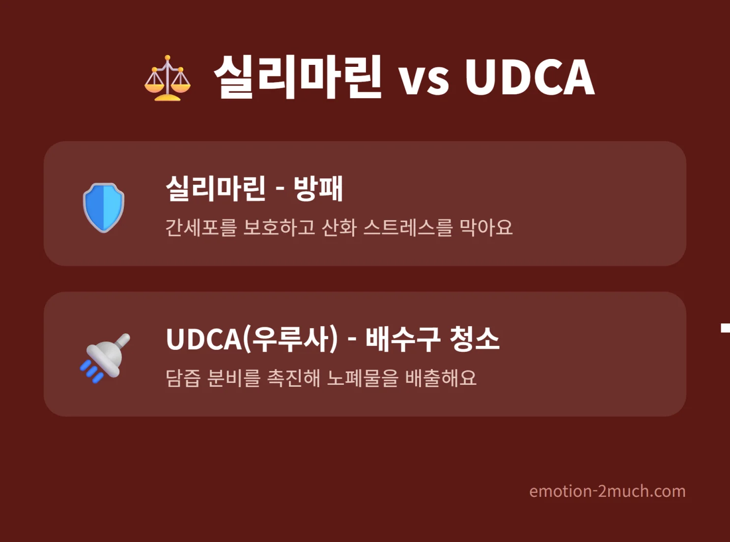 실리마린과 UDCA의 작용 방식을 비교한 카드