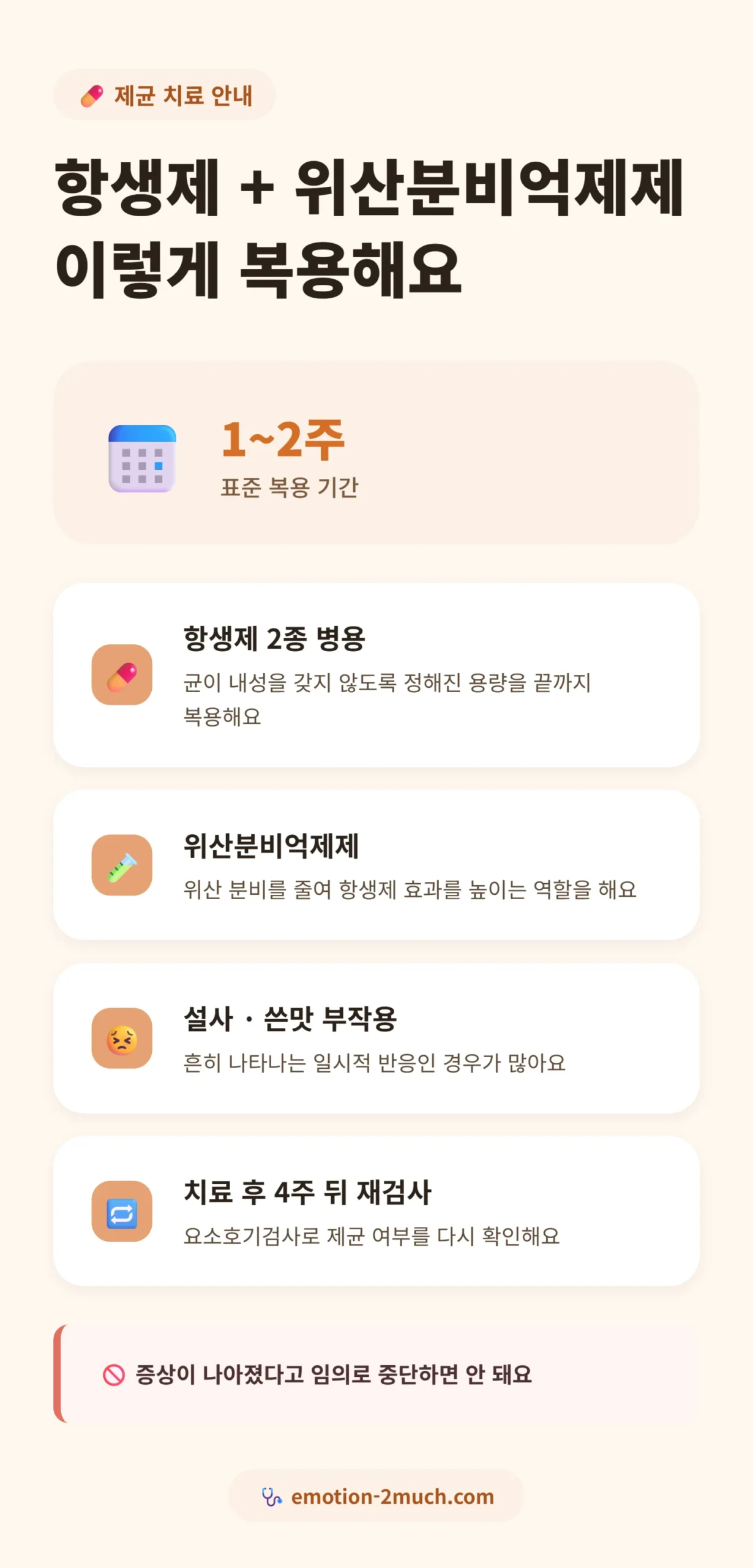 제균 치료 기간과 복용 주의사항 인포그래픽