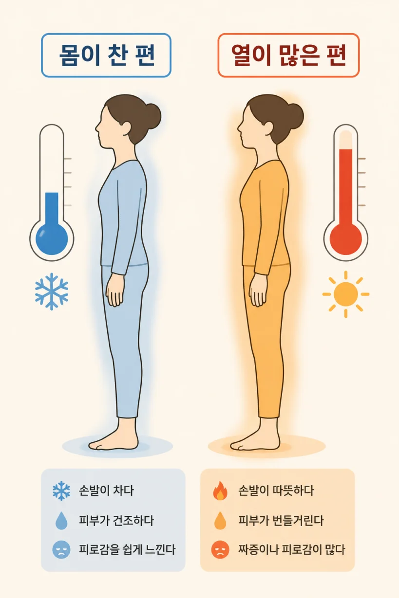 찬 체질과 열 체질에 맞는 향신료 비교 일러스트