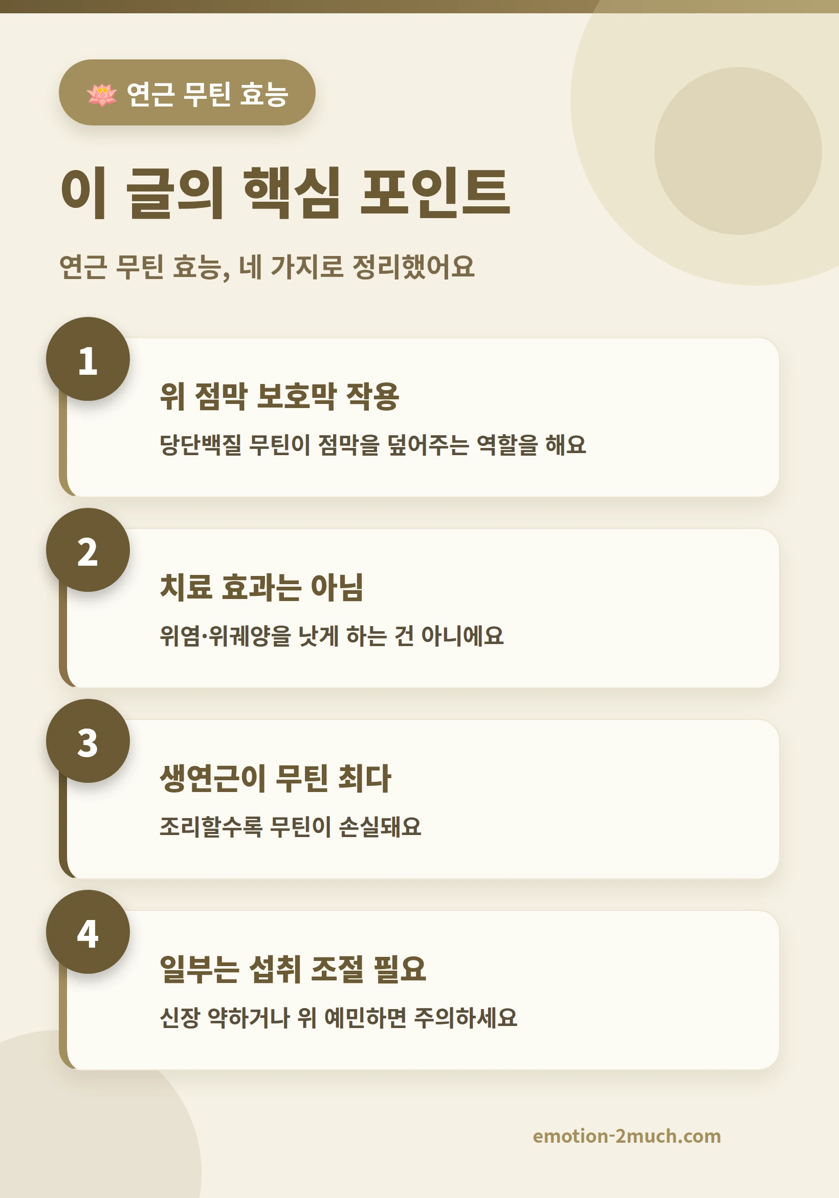 연근의 효능 네가지 핵심 포인트를 나타낸 인포그래픽