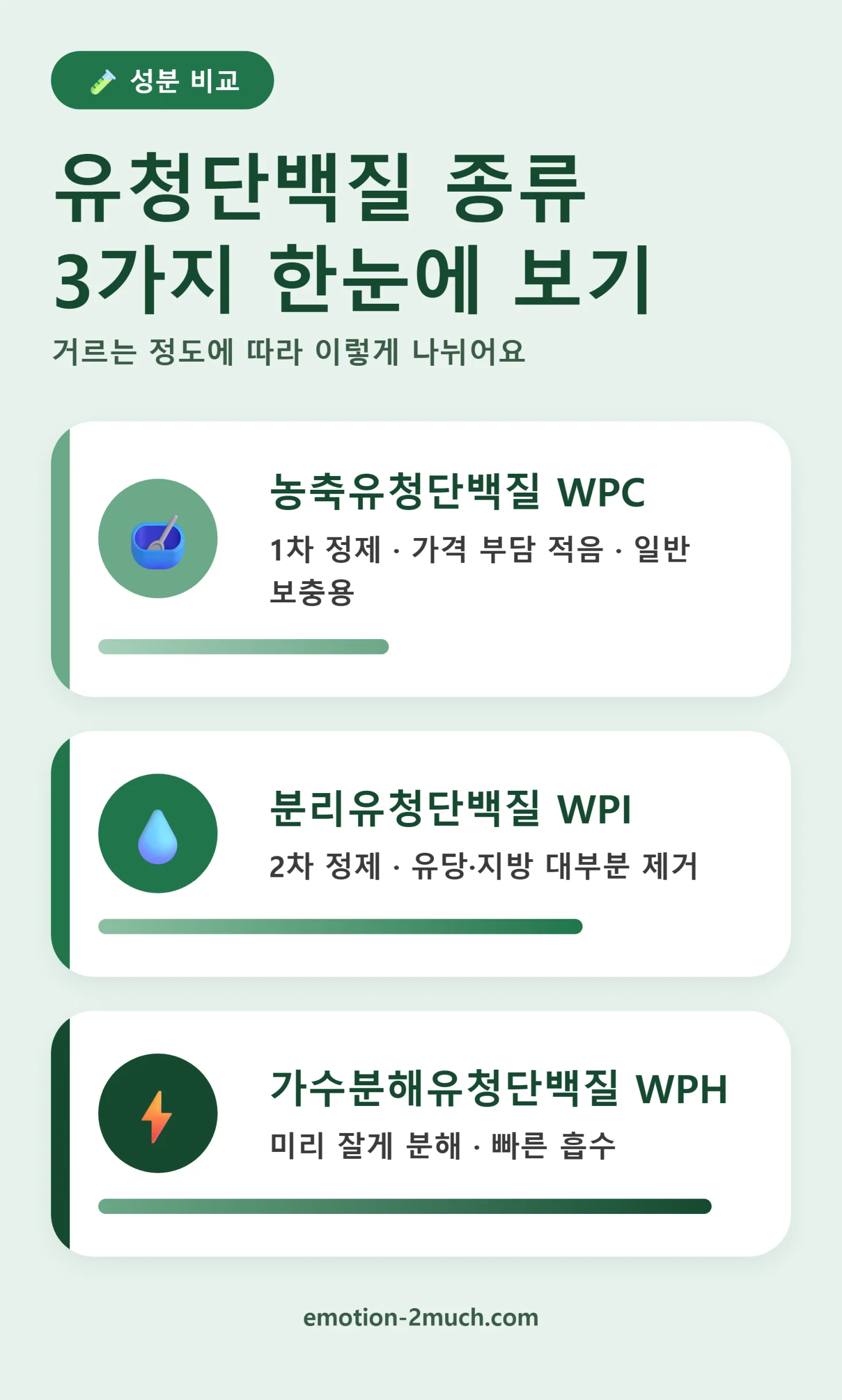 유청단백질 종류 3가지 한눈에 비교