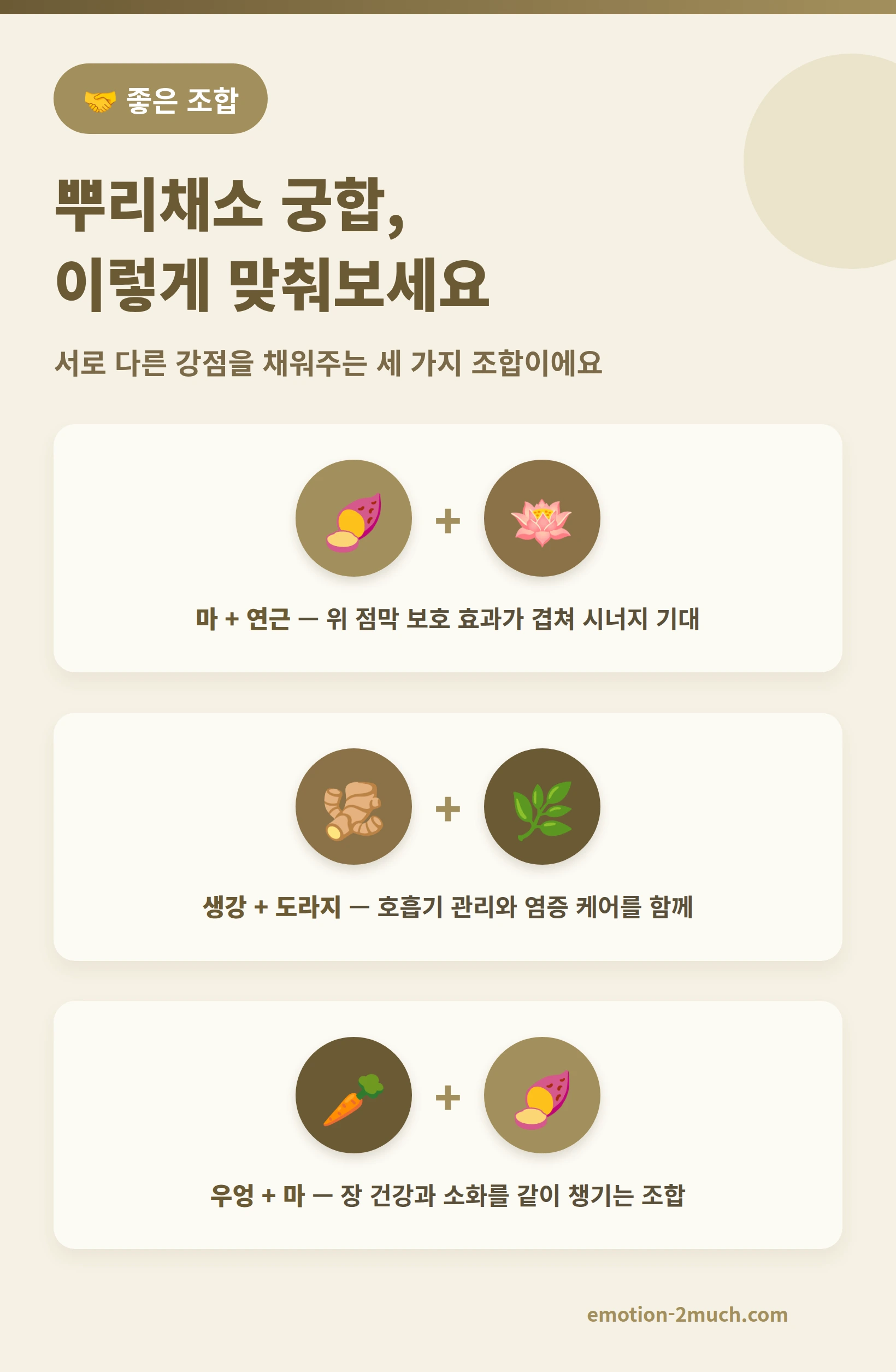 뿌리채소 궁합 좋은 조합 3가지를 정리한 인포그래픽