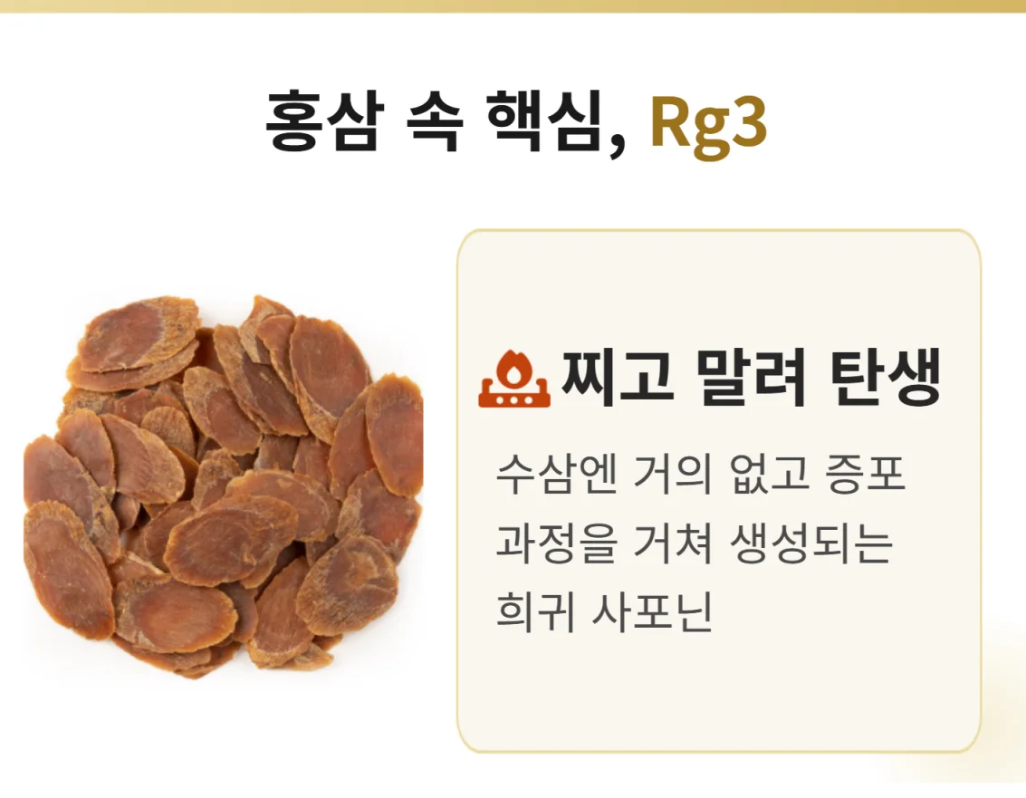 홍삼 진세노사이드 Rg3가 생성되는 원리 인포그래픽