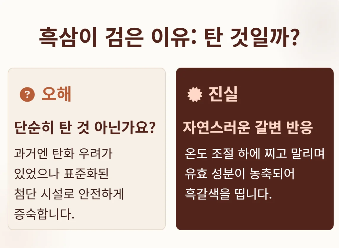 흑삼이 검은 이유에 대한 오해와 진실을 설명한 인포그래픽
