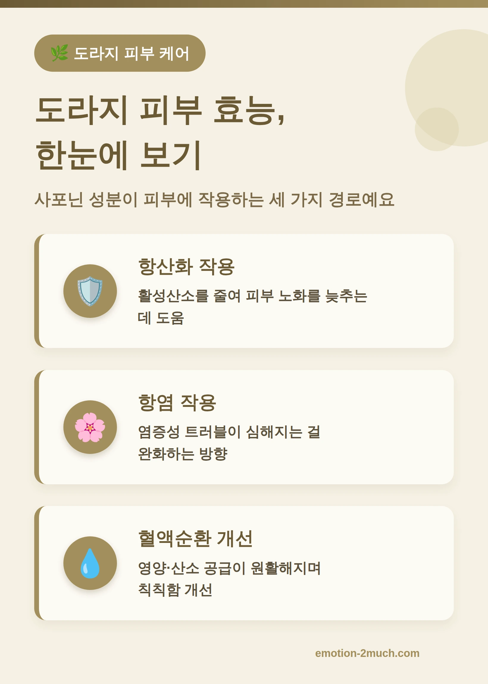 도라지 사포닌이 피부에 주는 효과 요약 인포그래픽