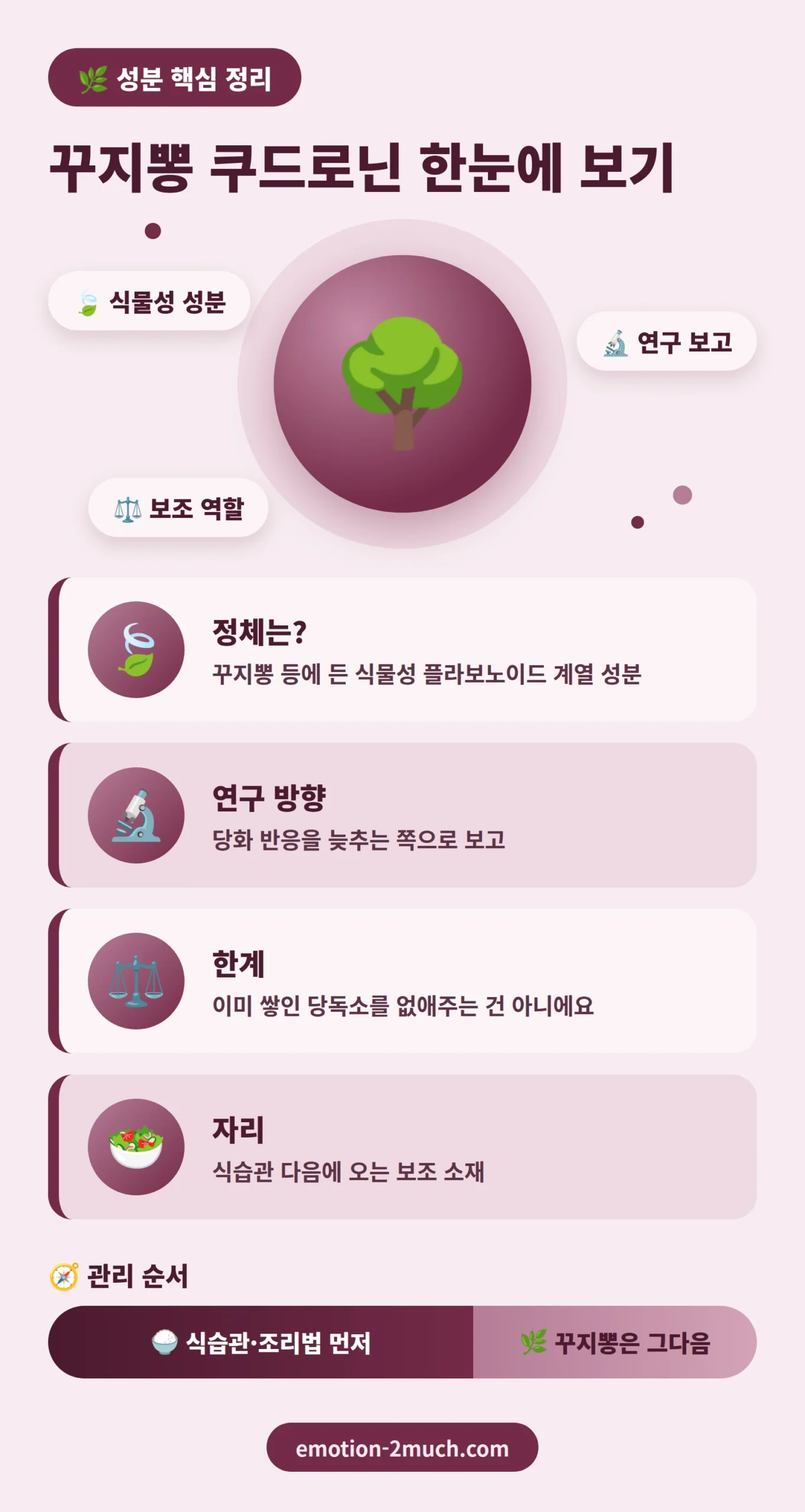 꾸지뽕 쿠드로닌 핵심 정리 인포그래픽