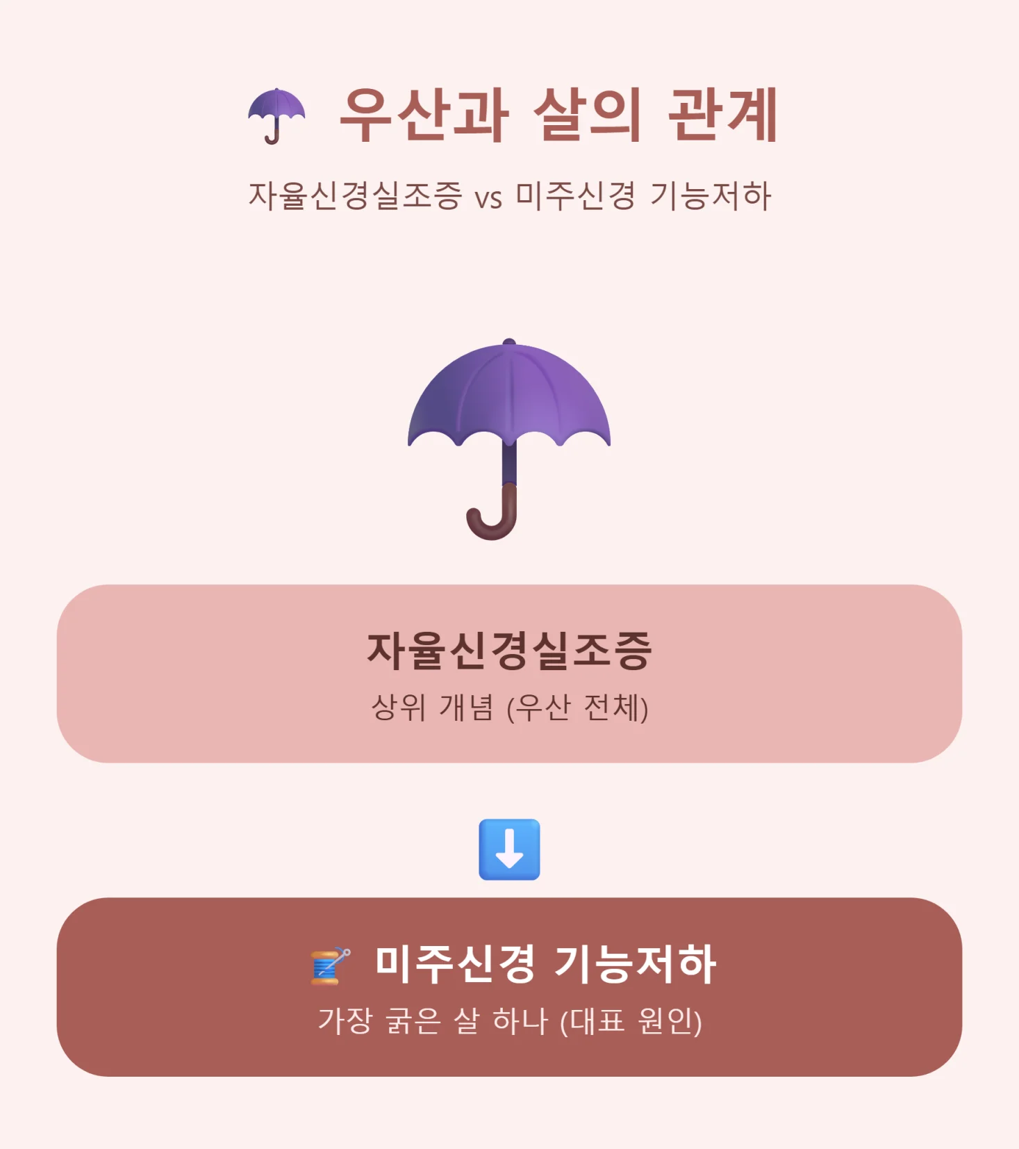 자율신경실조증과 미주신경을 우산과 살로 비유한 인포그래픽