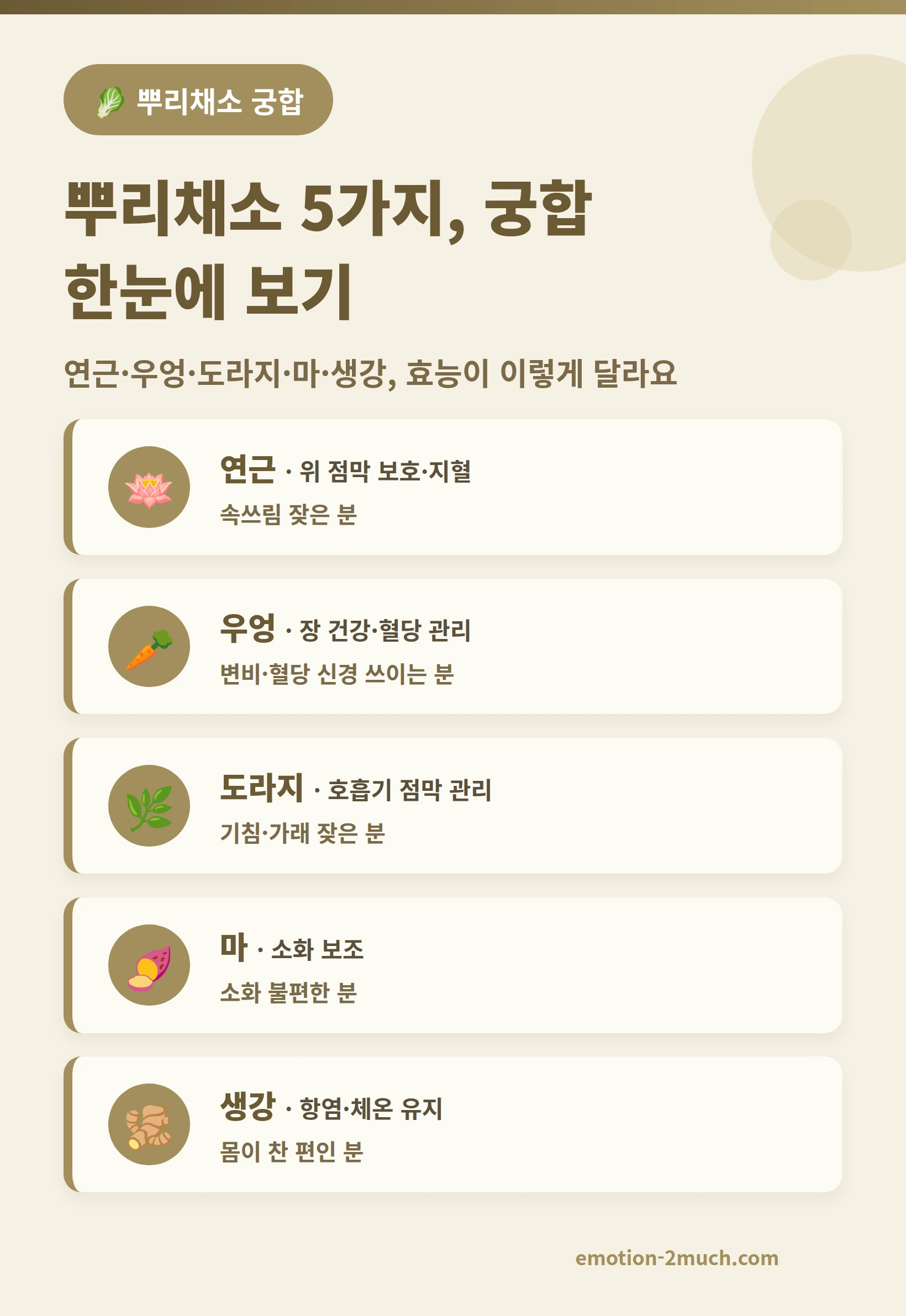 뿌리채소 5가지 궁합을 한눈에 정리한 인포그래픽
