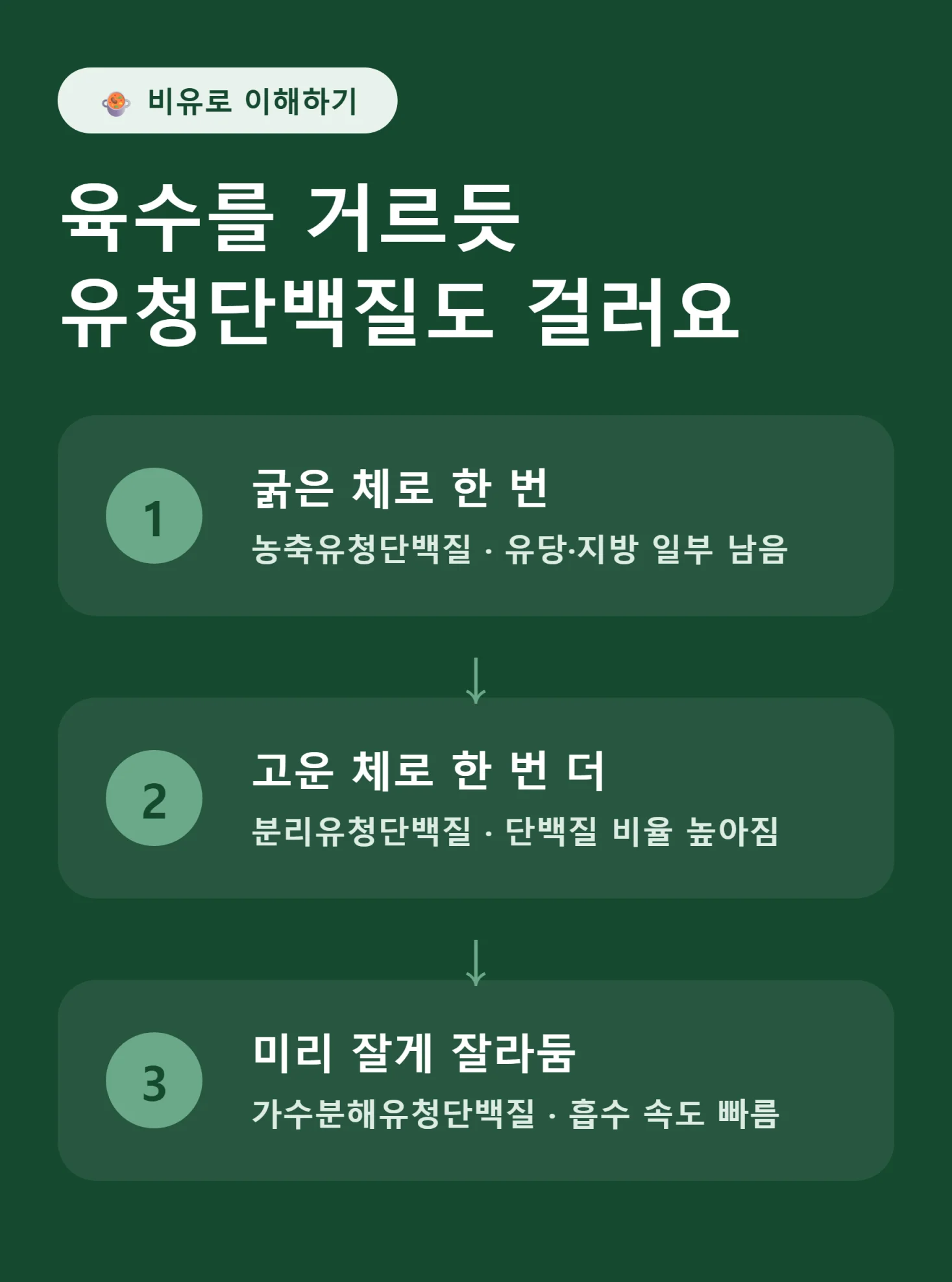 육수 거르기에 비유한 유청단백질 정제 과정