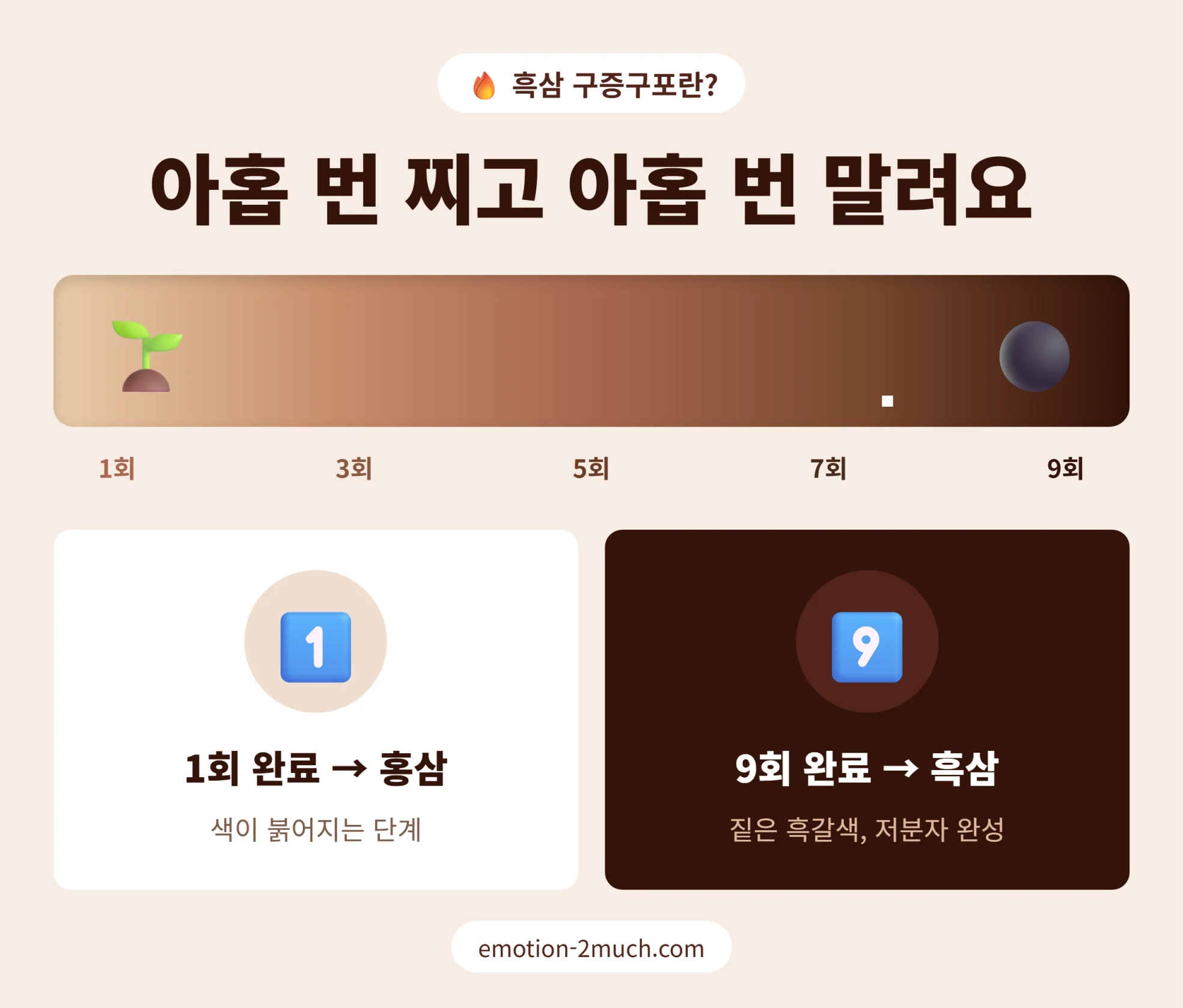 흑삼 구증구포 아홉 번 찌고 말리는 과정