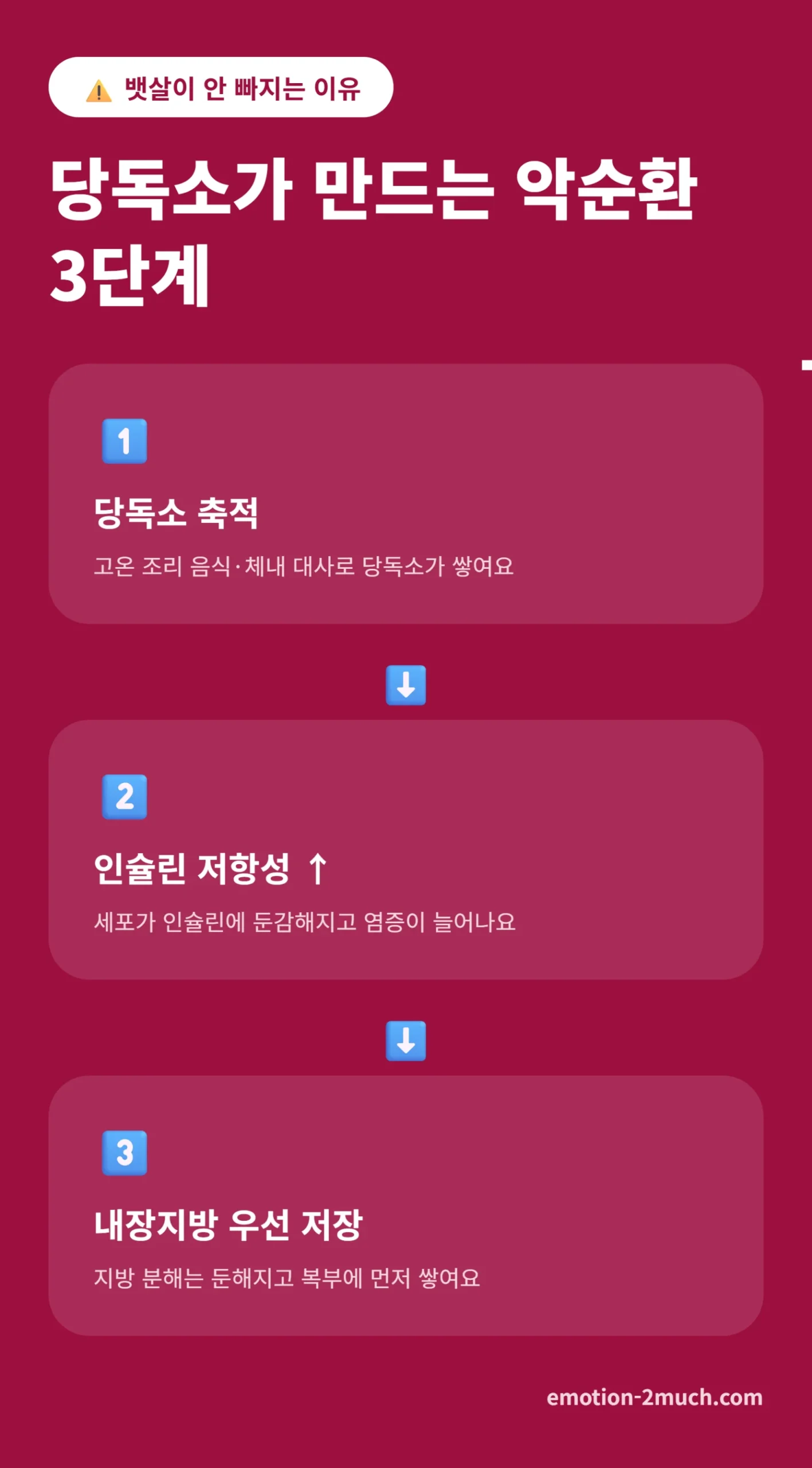 당독소 인슐린 저항성 내장지방 흐름 인포그래픽