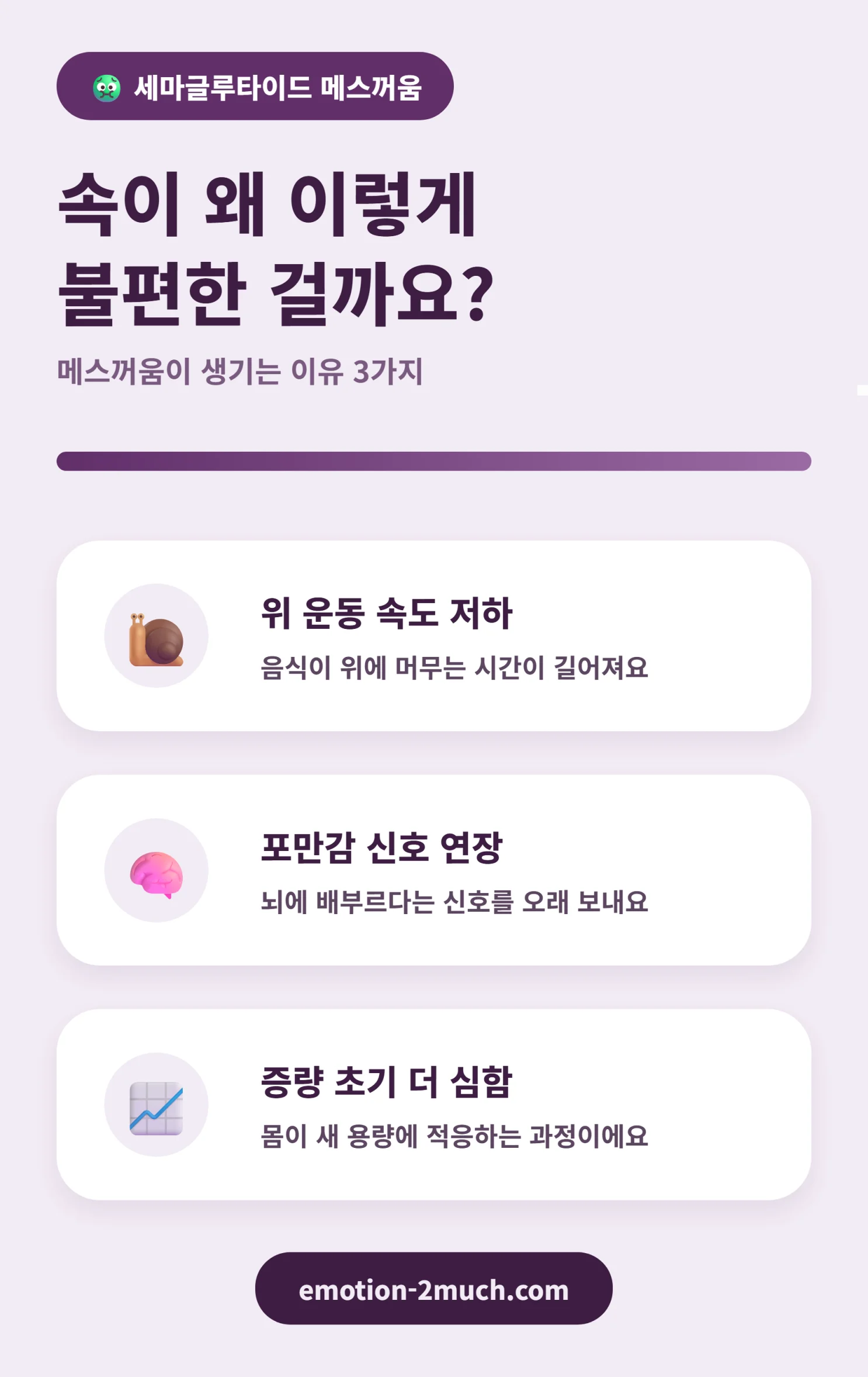 세마글루타이드 메스꺼움 발생 원인을 정리한 인포그래픽
