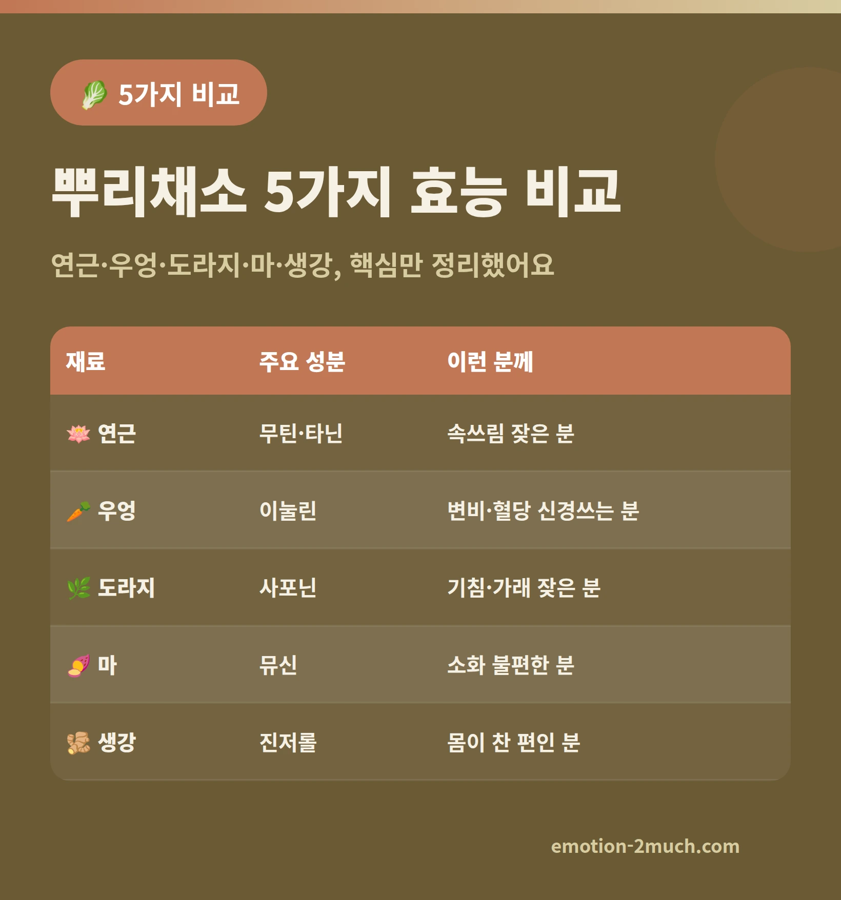 뿌리채소 5가지 효능 비교를 정리한 인포그래픽
