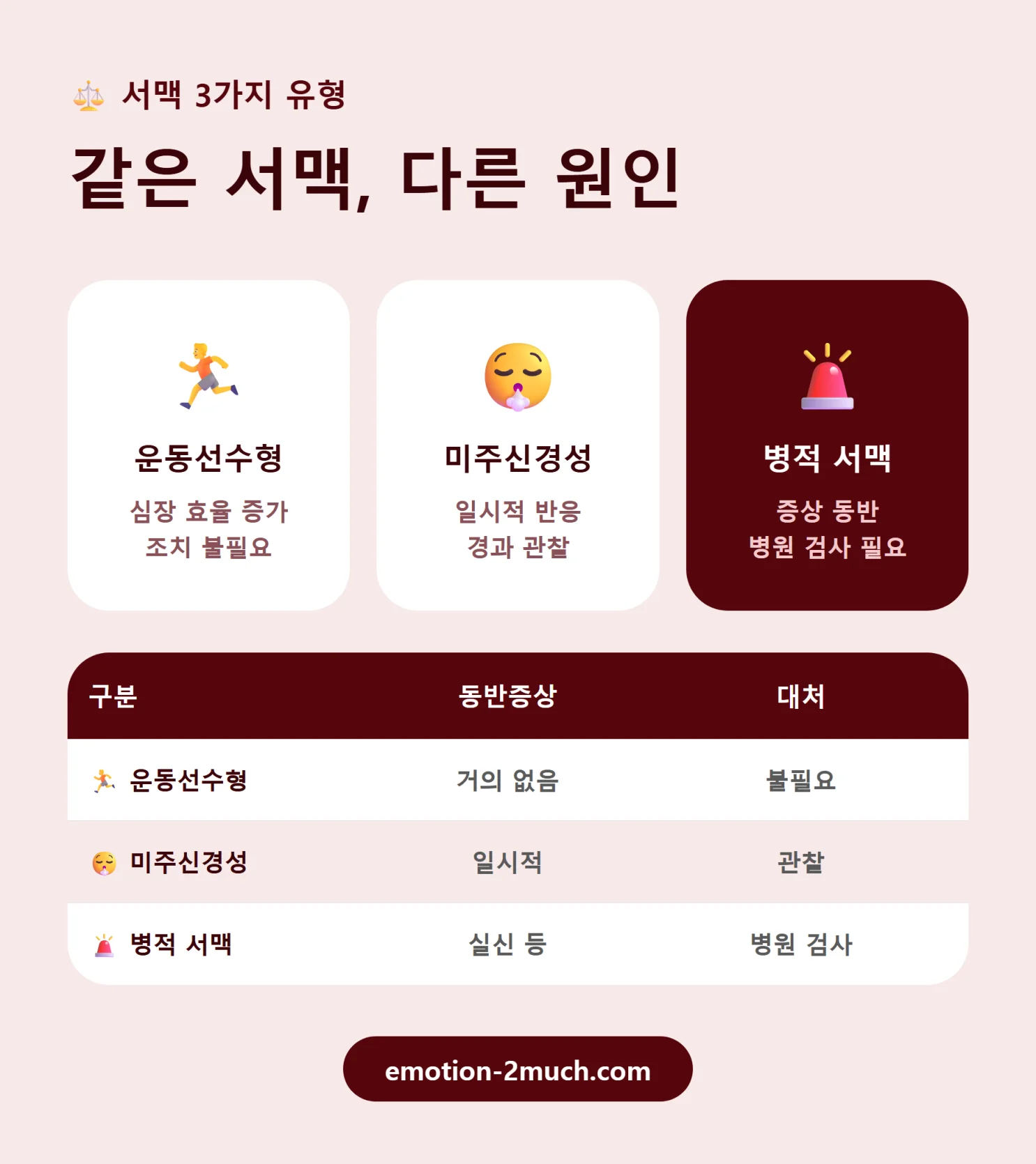 서맥 3가지 유형을 비교한 인포그래픽