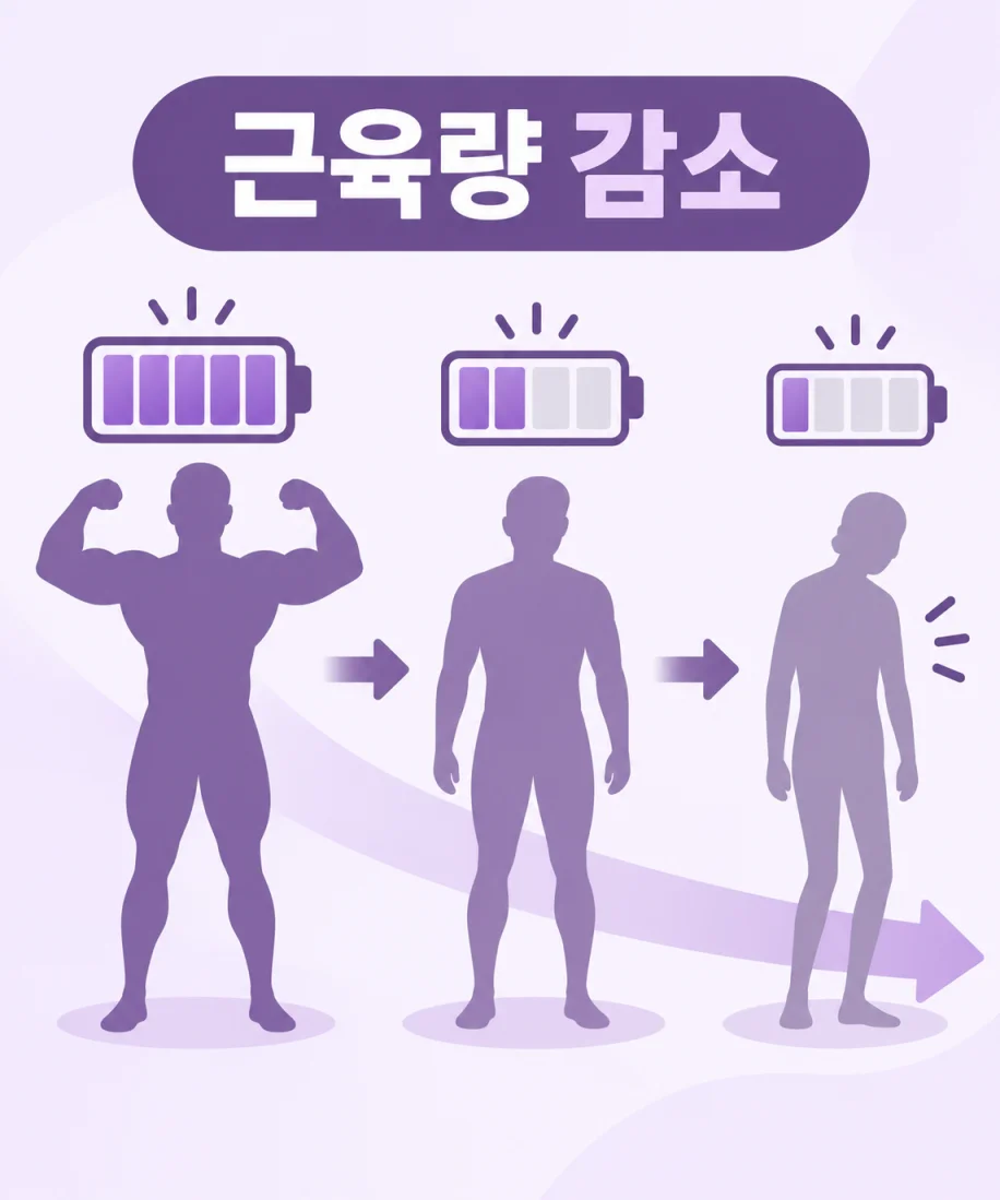 근육량을 배터리 잔량에 비유한 일러스트