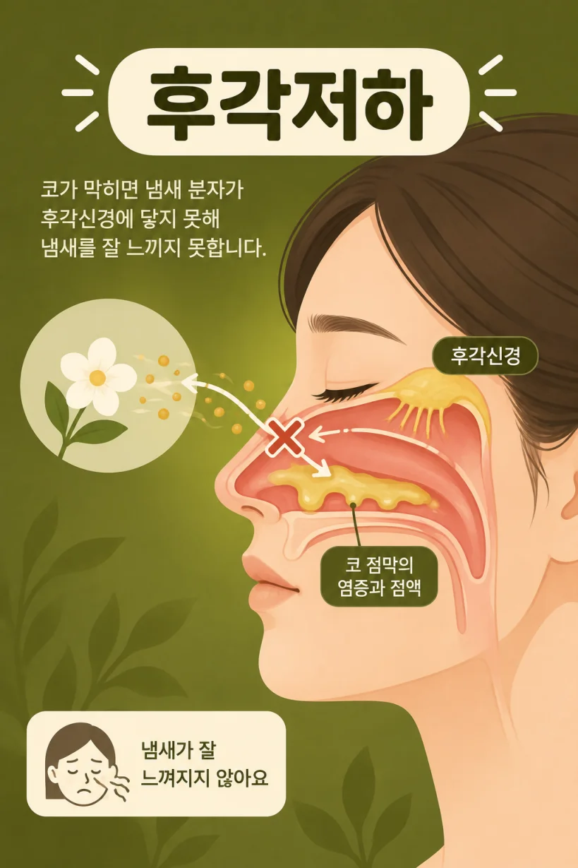 코가 막혀 냄새를 못 맡는 상태를 표현한 일러스트