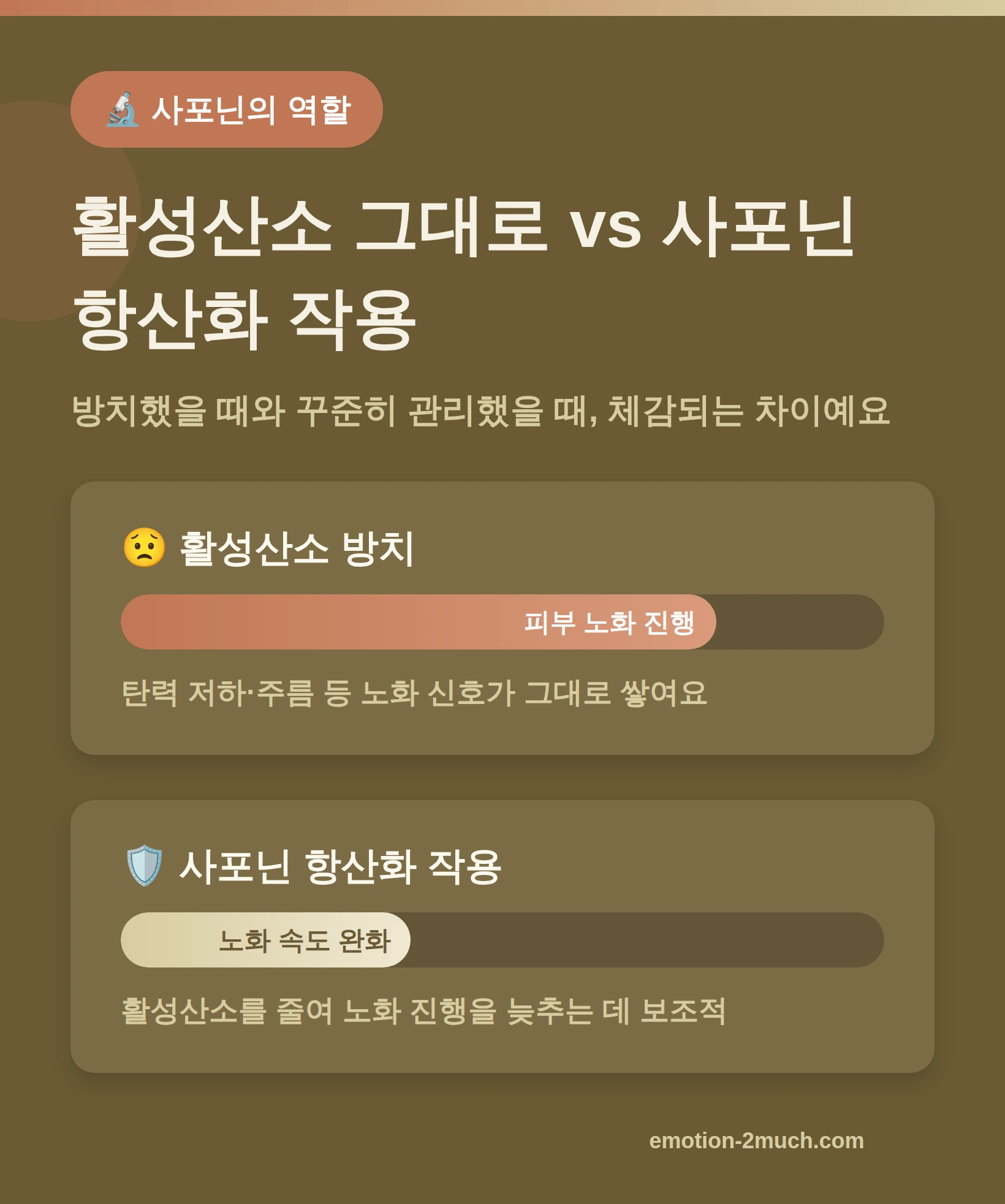 활성산소와 사포닌 항산화 작용을 비교한 인포그래픽