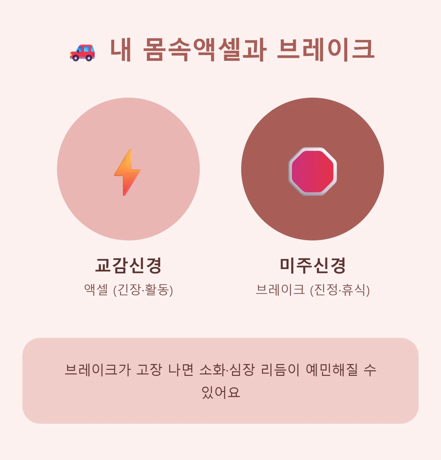 교감신경과 미주신경을 액셀과 브레이크로 비유한 인포그래픽
