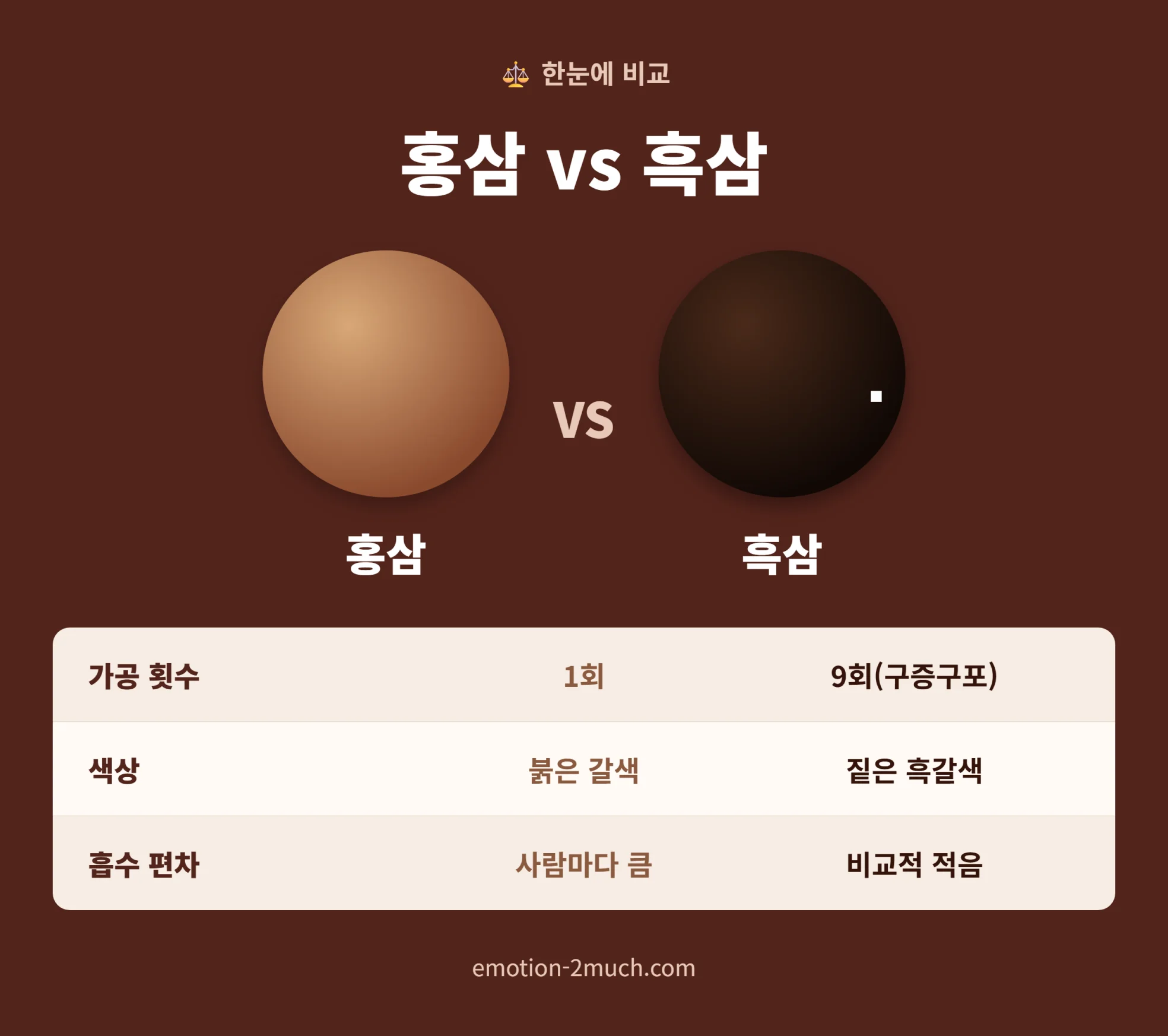 홍삼과 흑삼 비교 인포그래픽