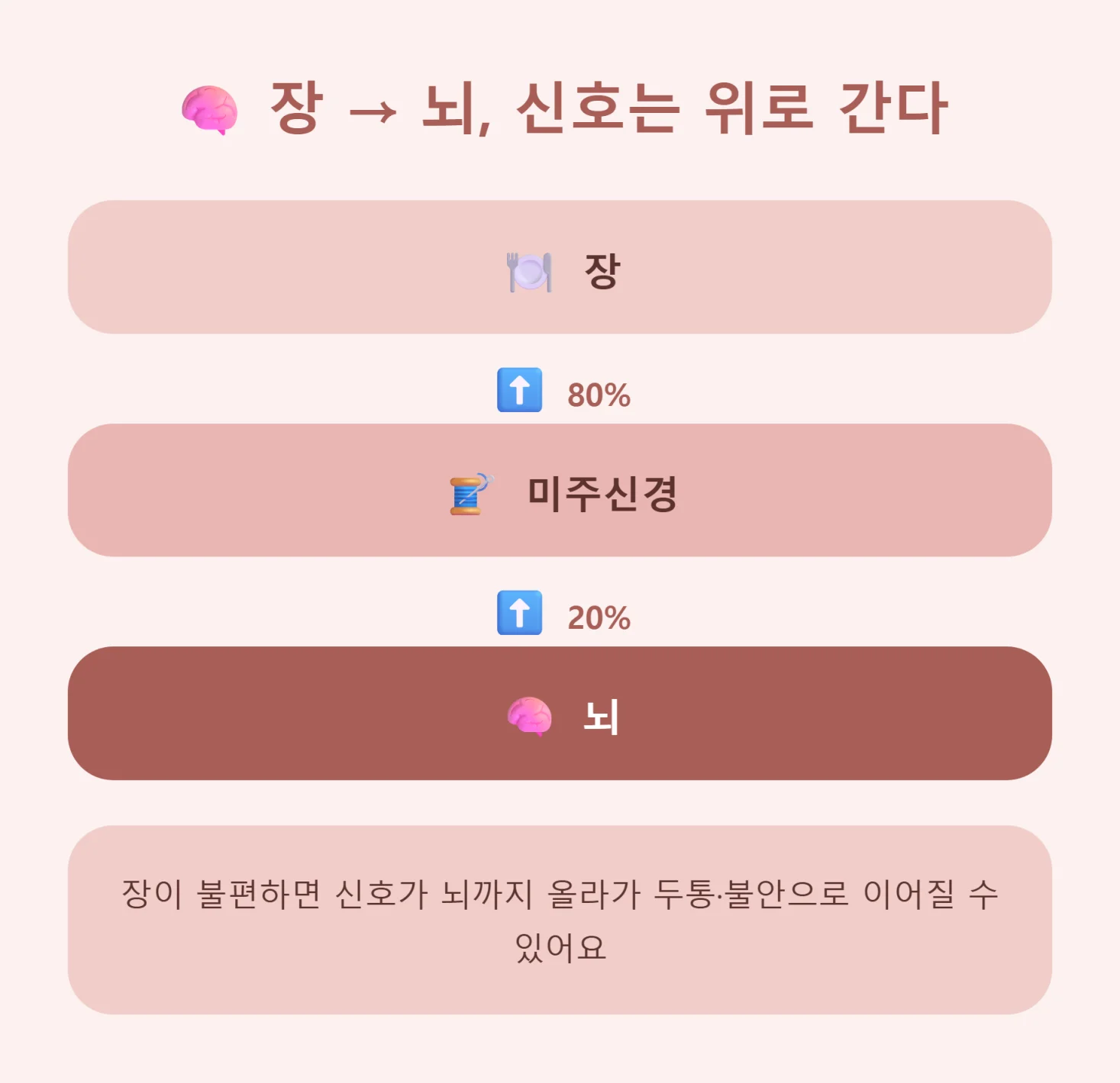 장에서 뇌로 신호가 올라가는 장뇌축 인포그래픽