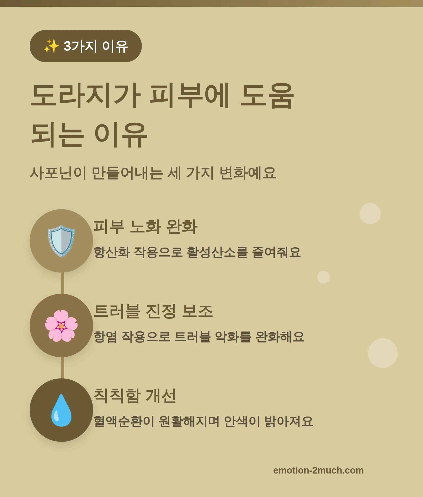 도라지가 피부에 도움되는 3가지 이유를 정리한 인포그래픽