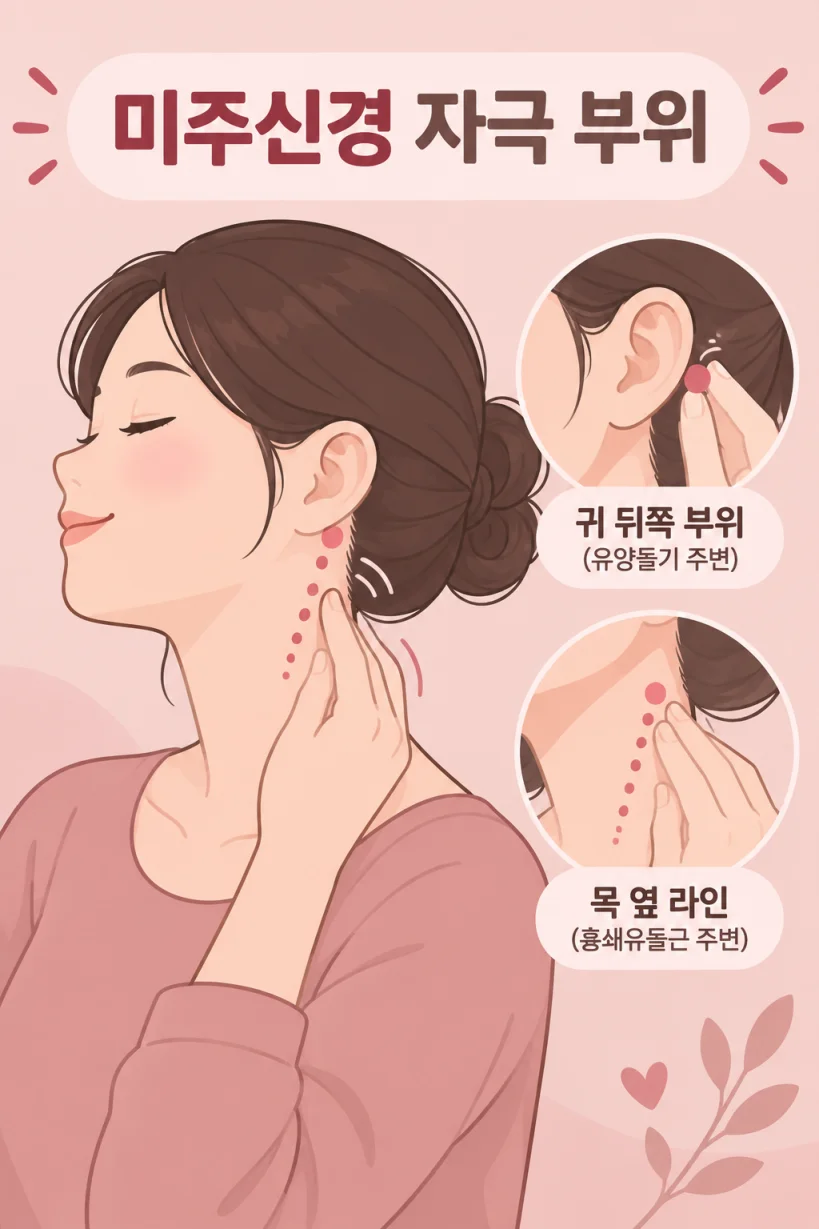 목과 귀 뒤쪽을 부드럽게 마사지하는 위치 일러스트