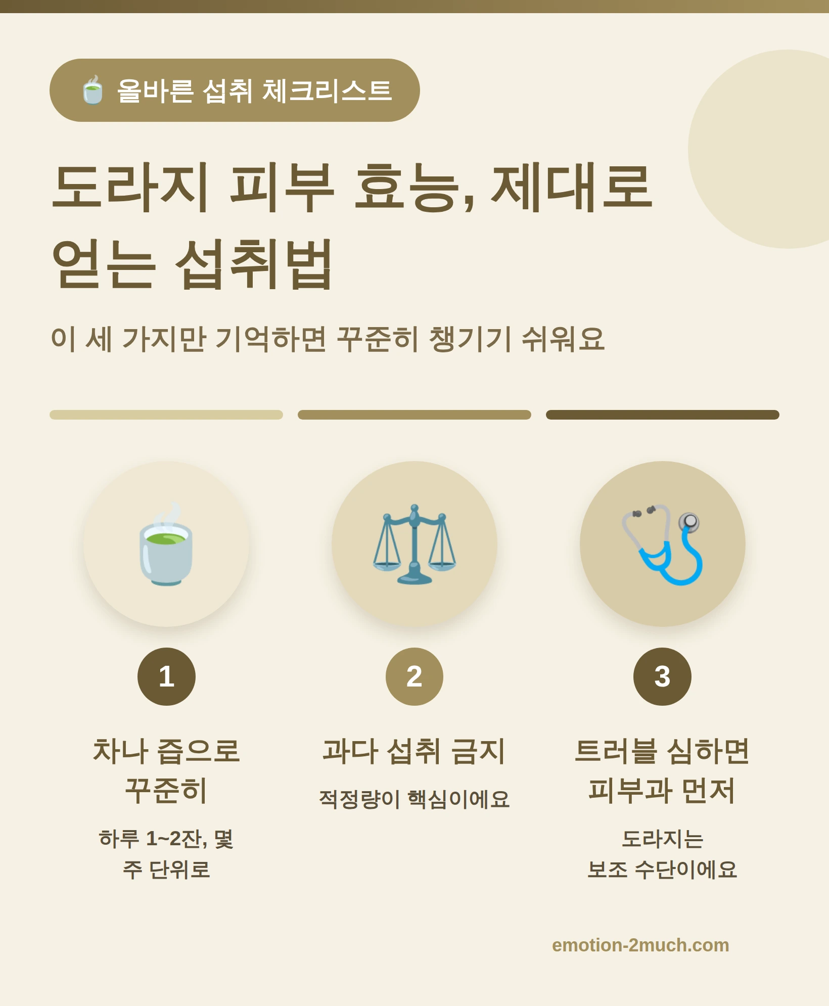 도라지 피부 효능 제대로 얻는 섭취법 체크리스트